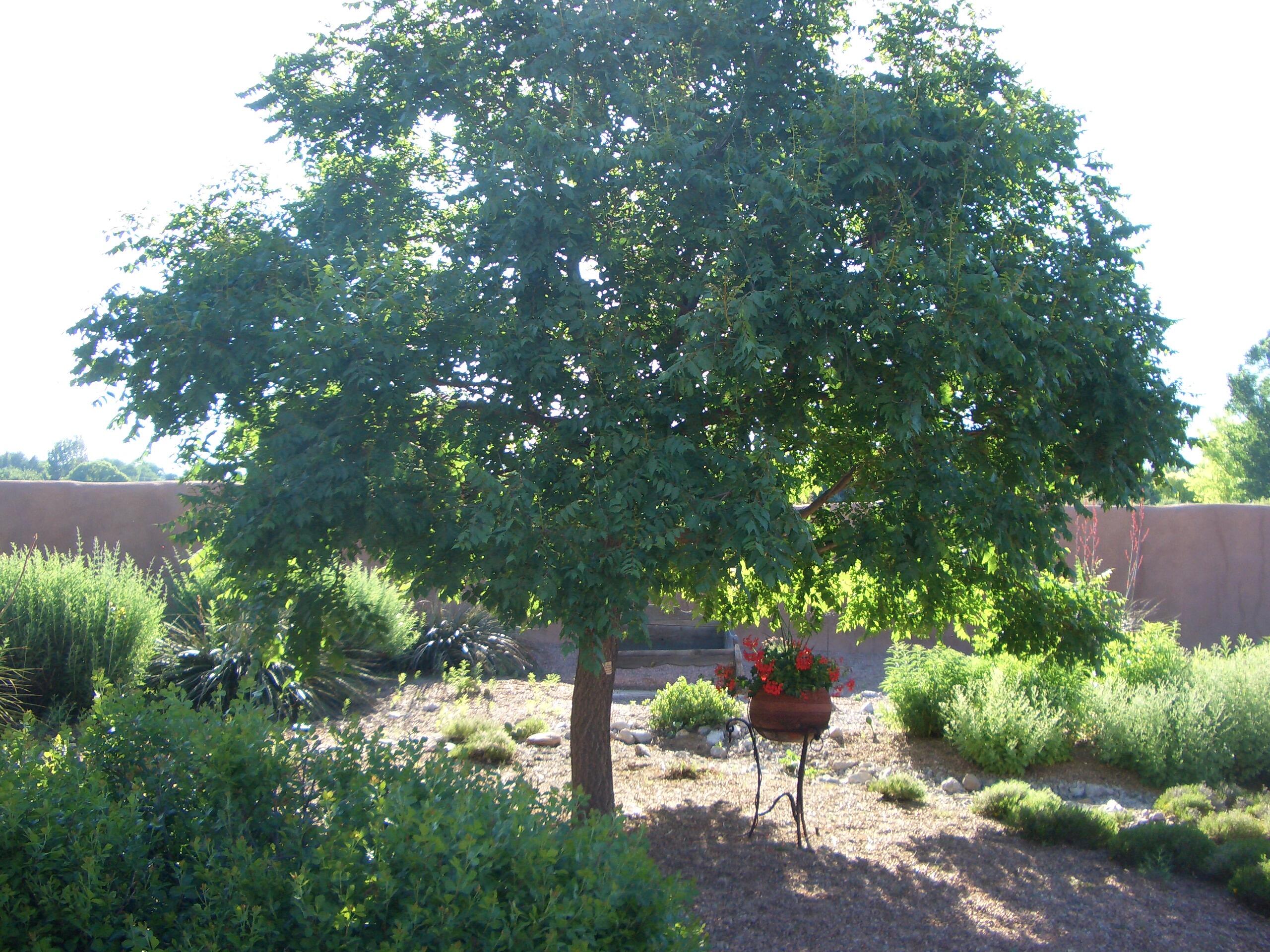 8008 Loma Larga Road