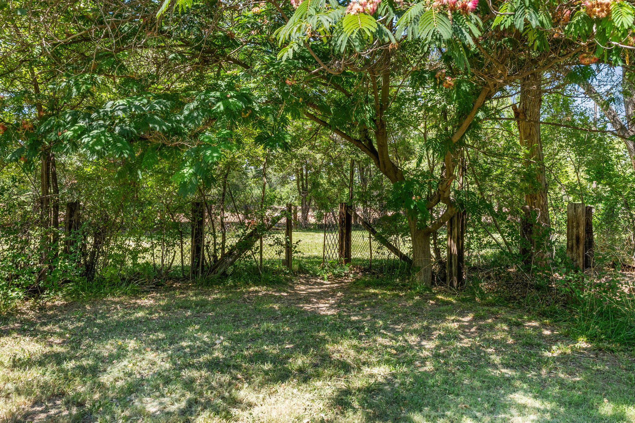 631 CAMINO DEL BOSQUE NW