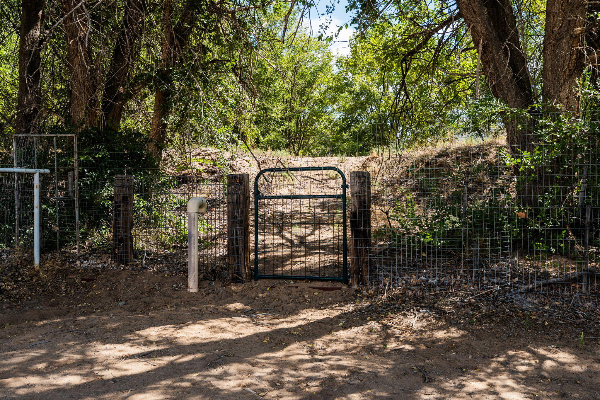 99 Molina Road