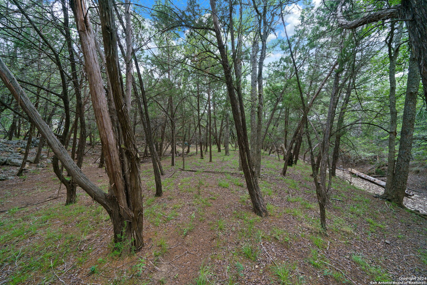118 KENDALL VIEW DR