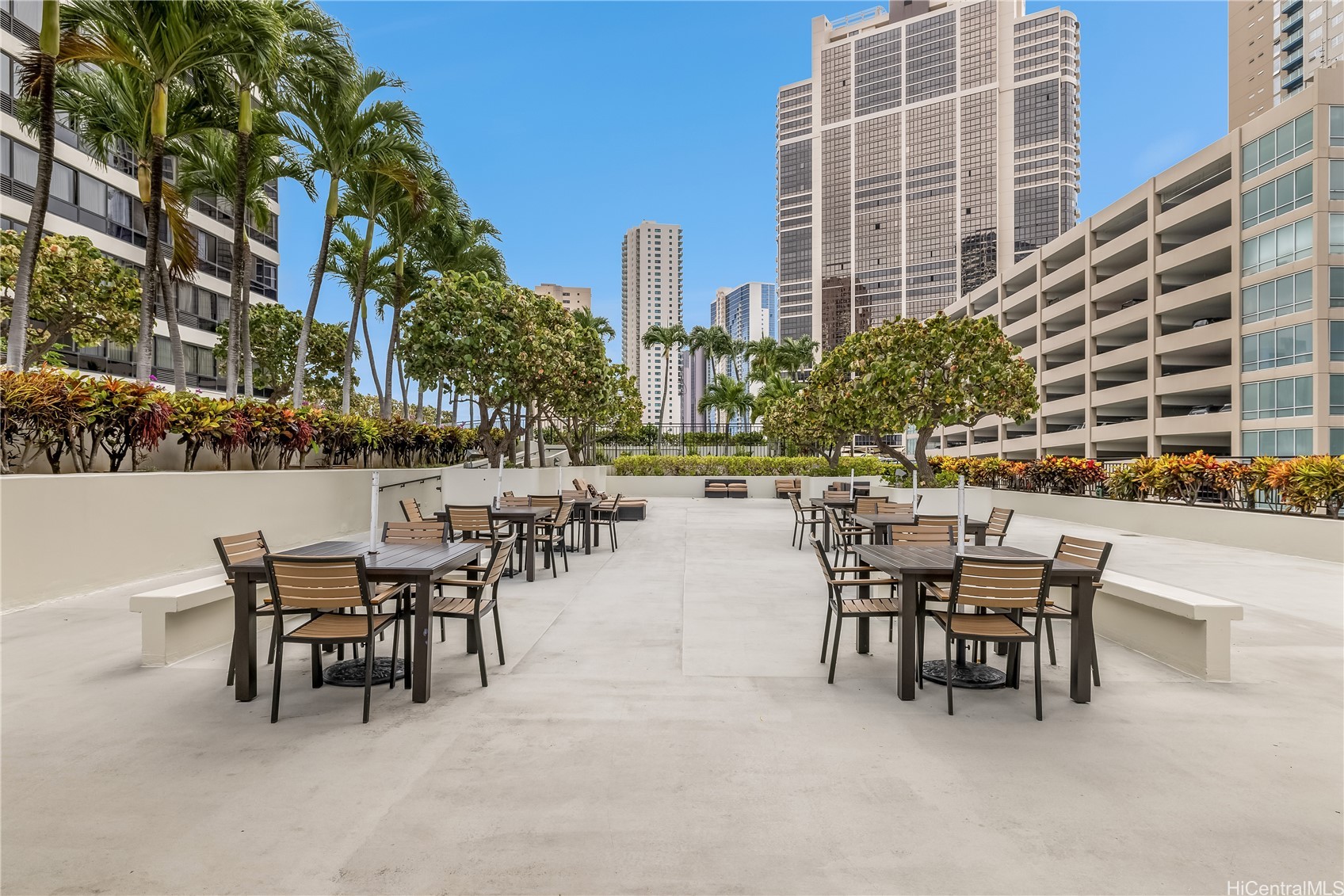 876 Curtis Street 3203