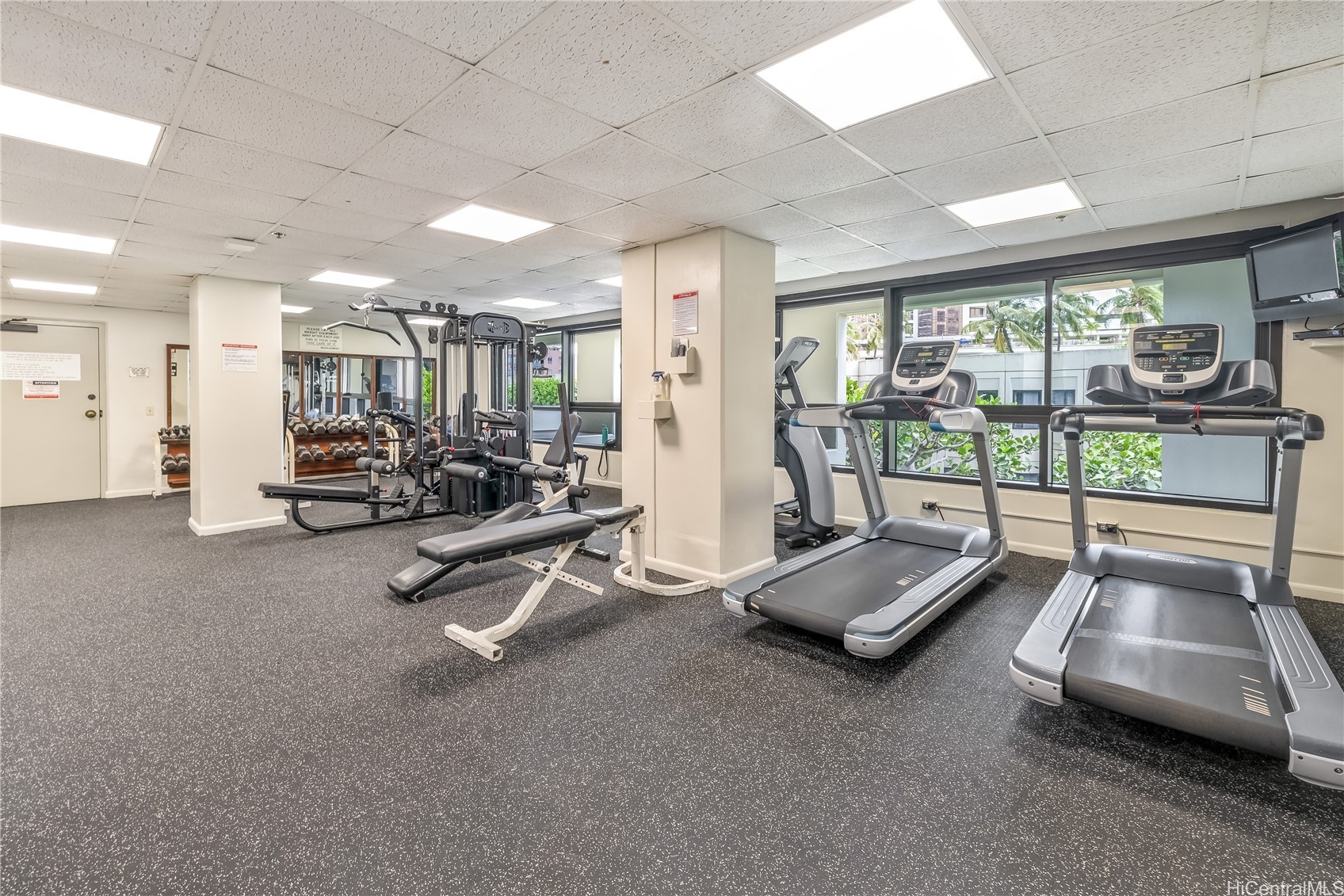 876 Curtis Street 3203