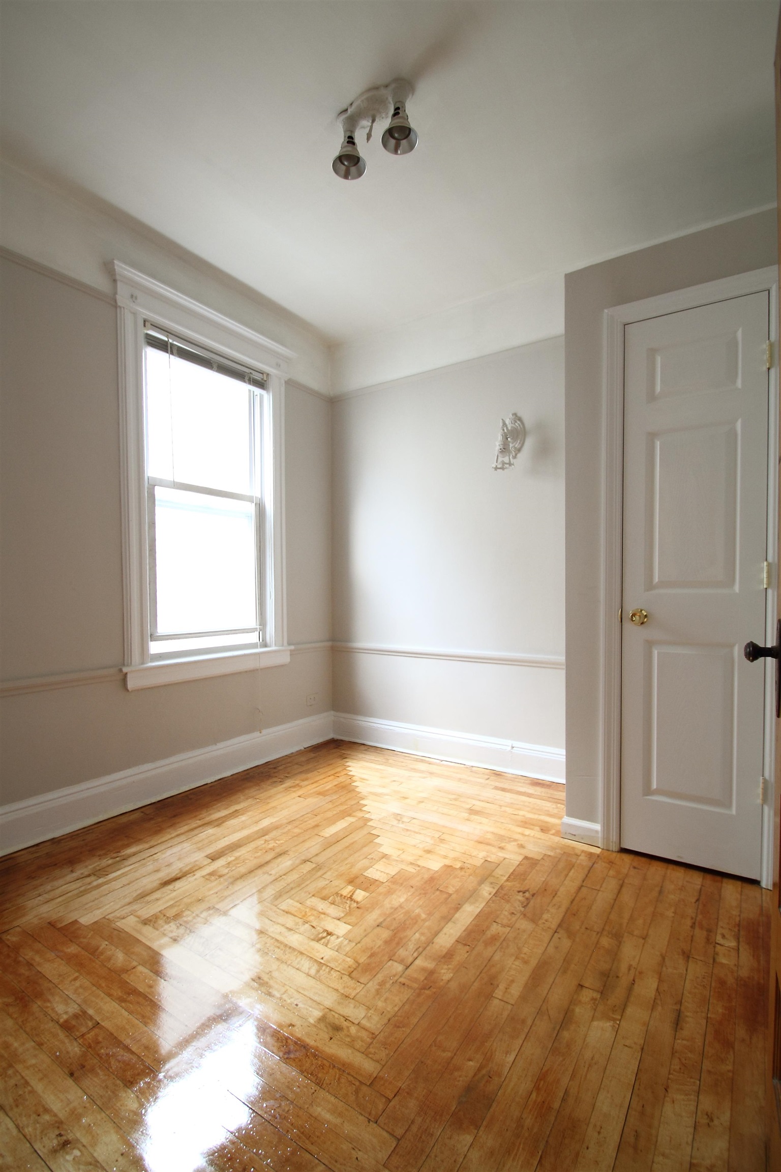 73 WARNER AVE