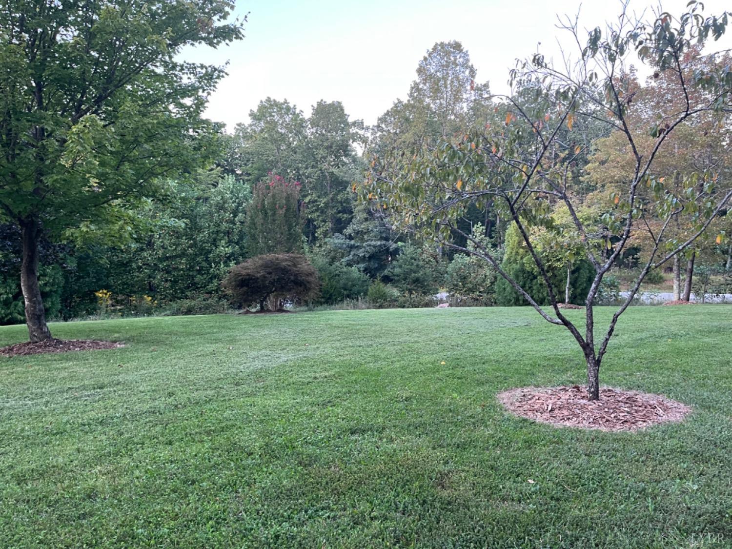1598 Little Dogwood Road