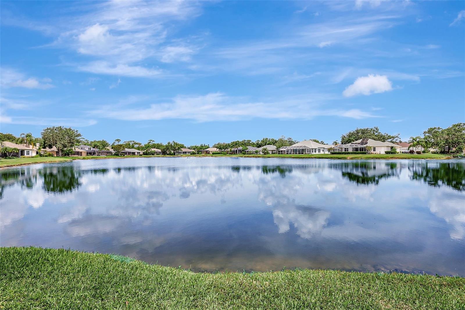 11328 RIVERS BLUFF CIR
