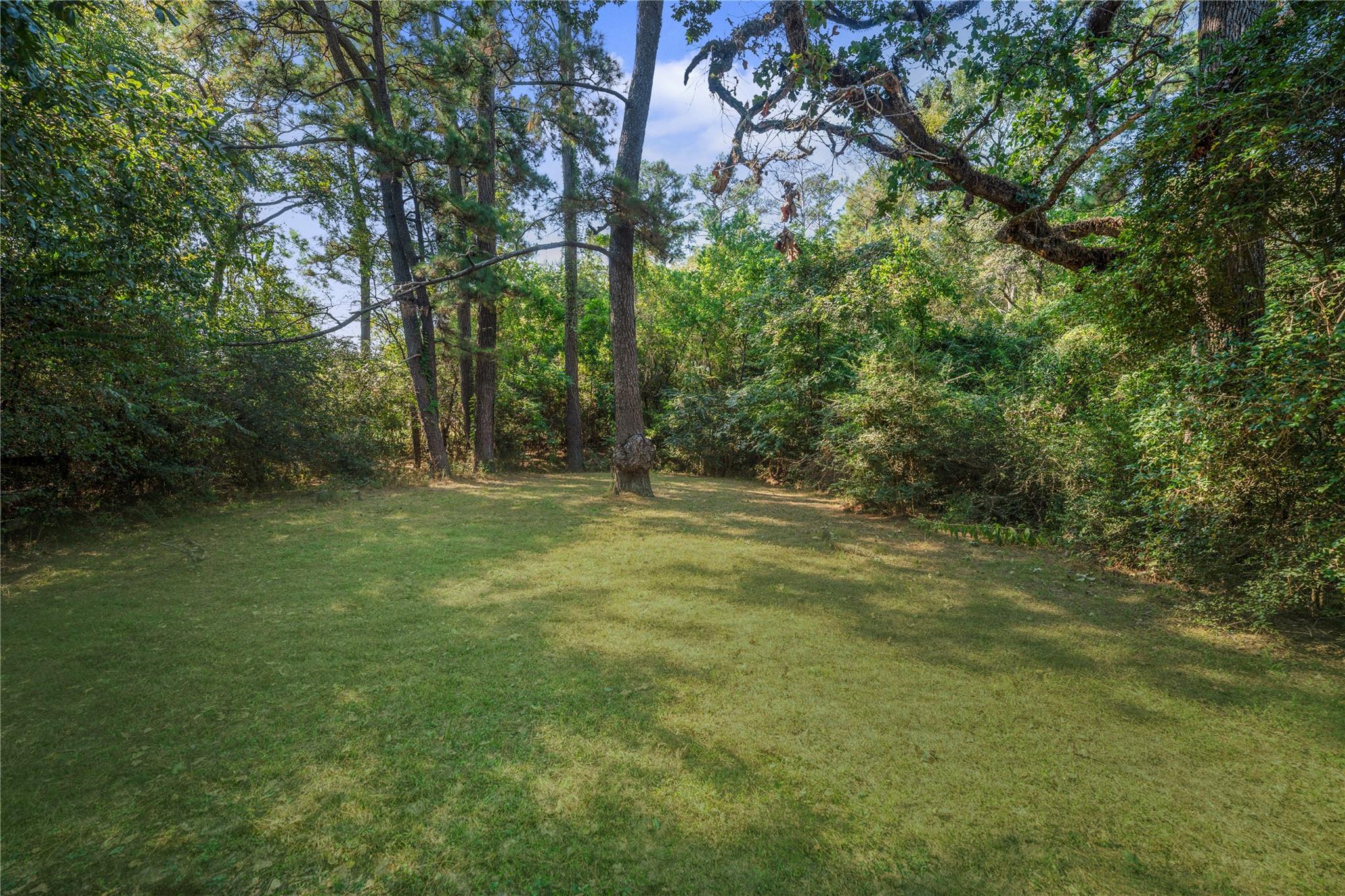 19811 Fm 1488 Road