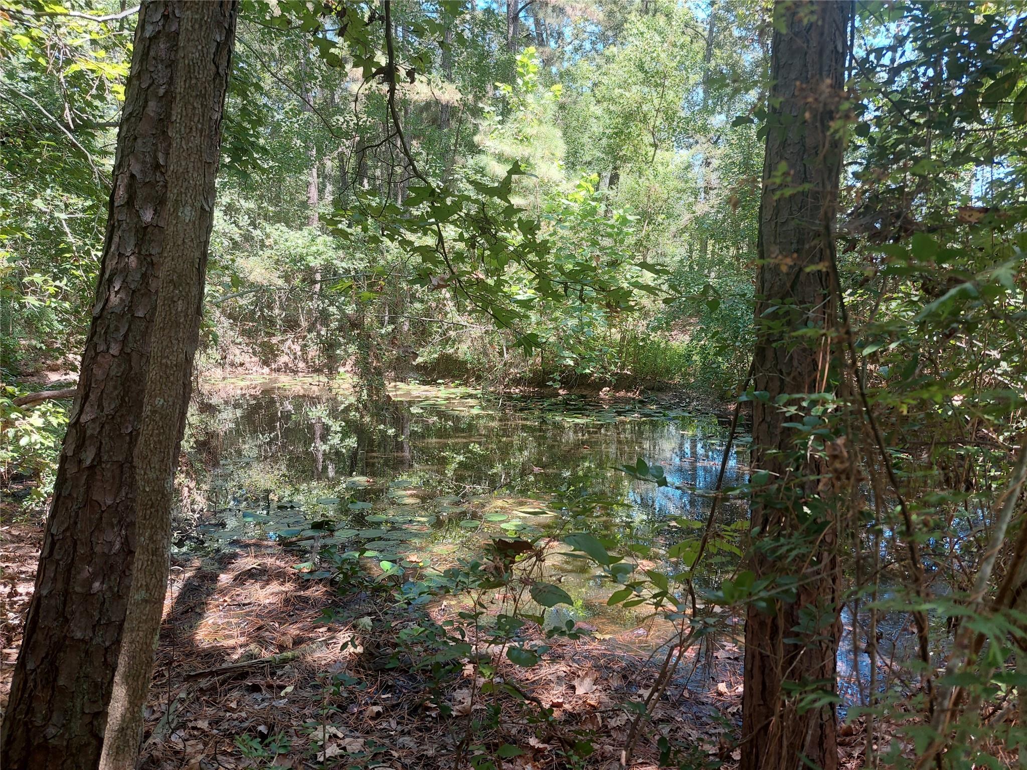 130 County Road 3291