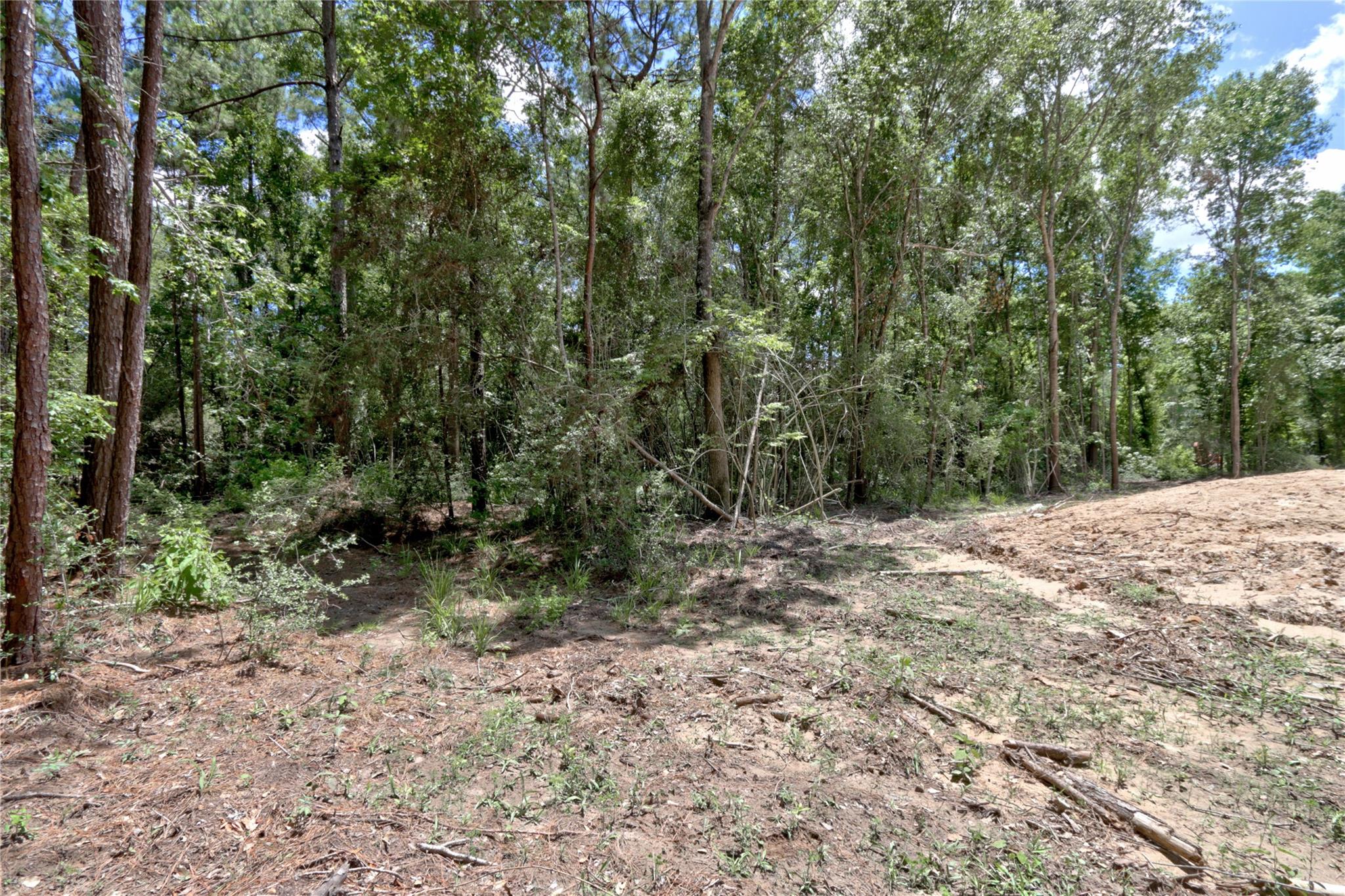 258 Heartland Road