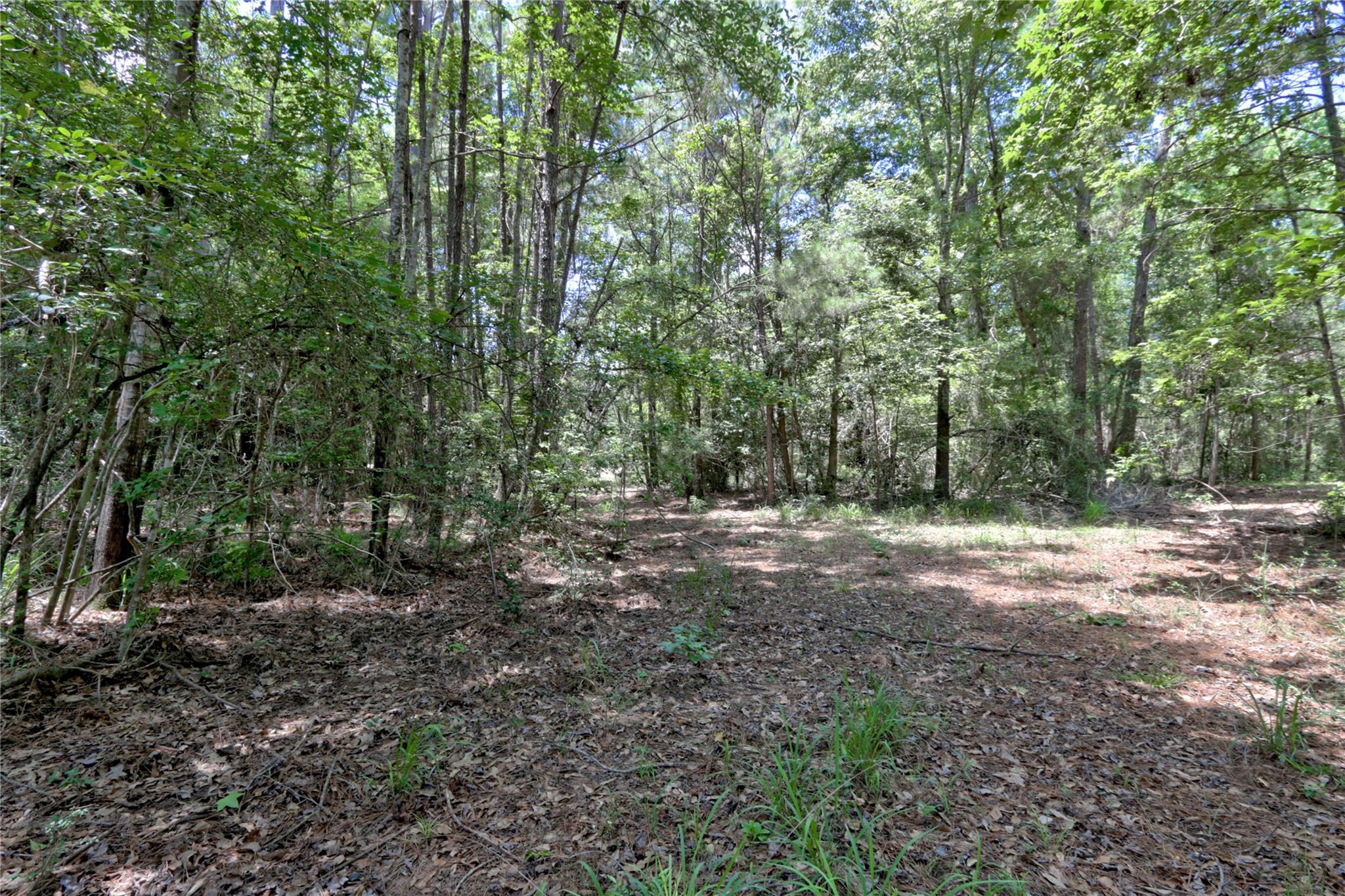 258 Heartland Road