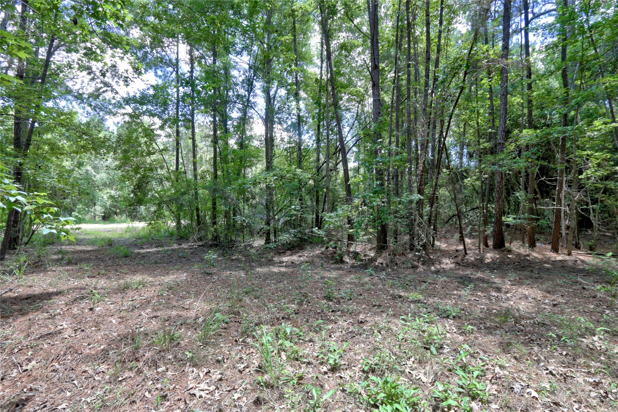 258 Heartland Road