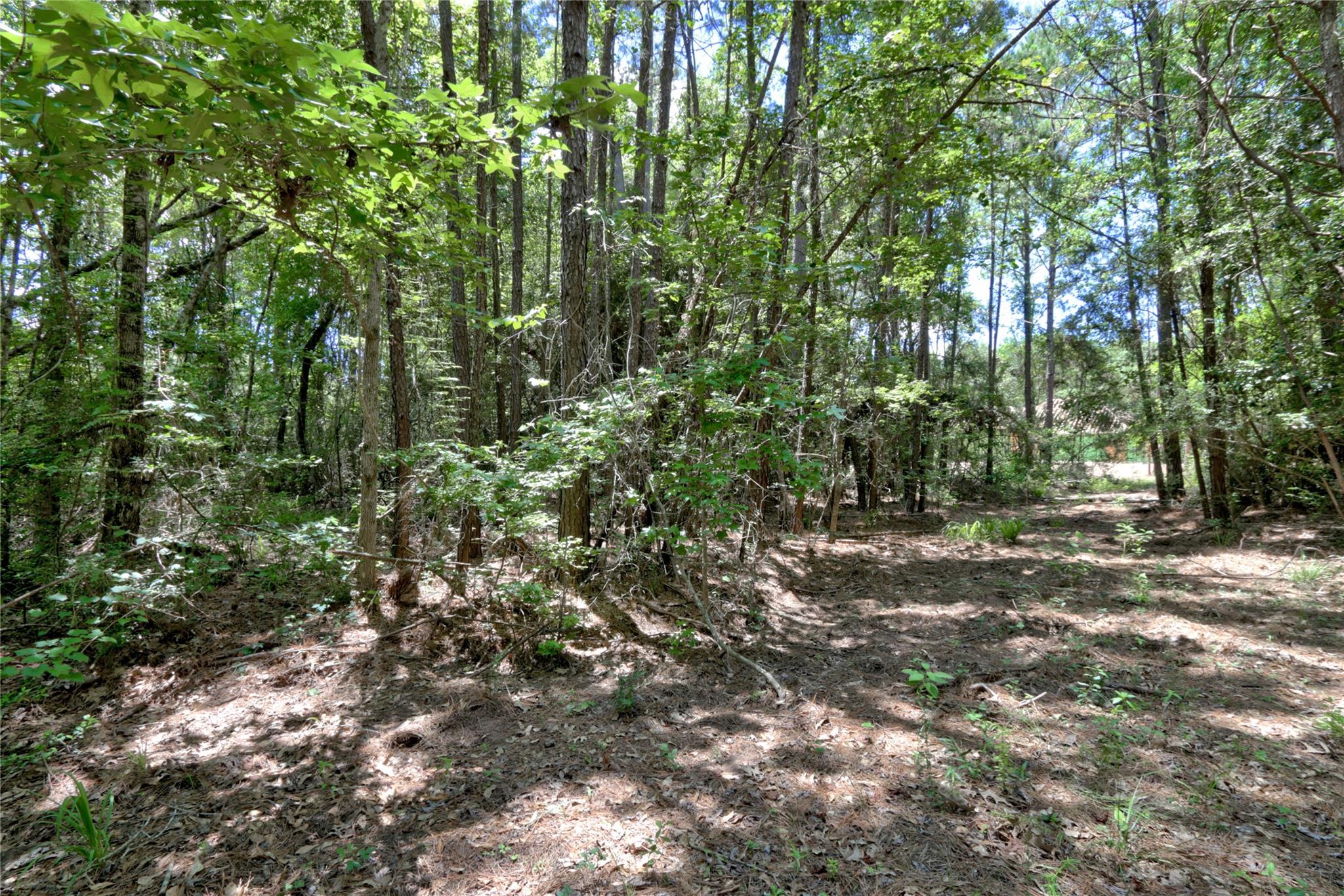 258 Heartland Road