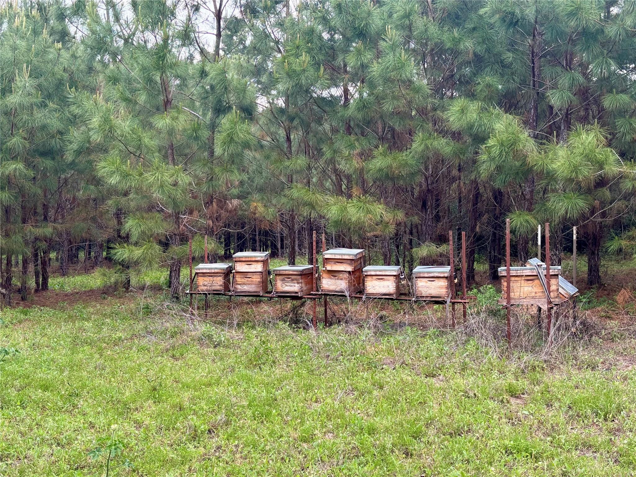 2077 County Road 408