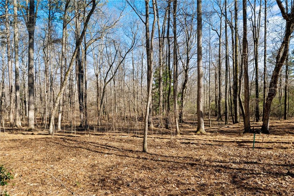 1660 Carlson Lane SW