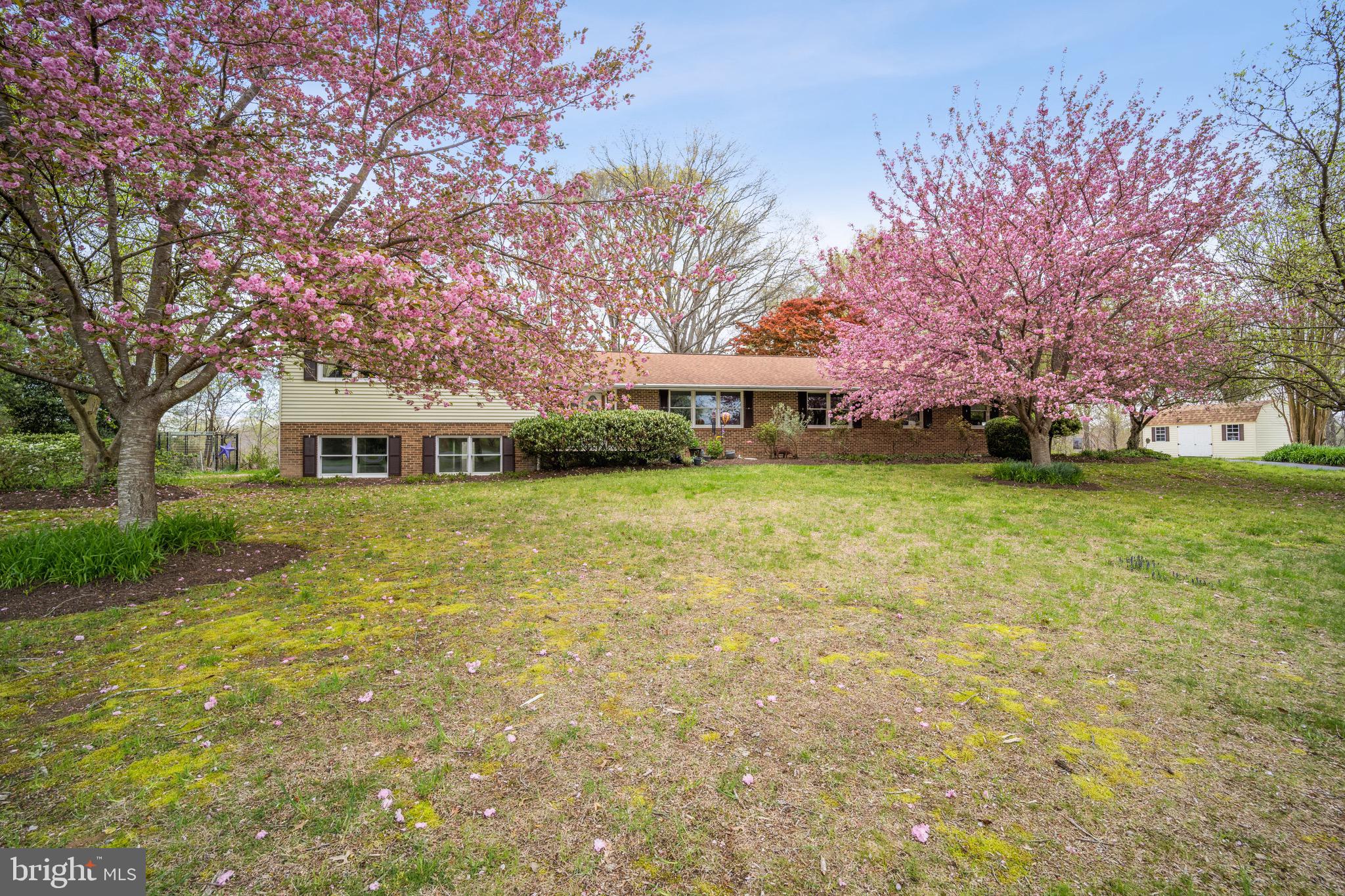 12730 Springfield Ct