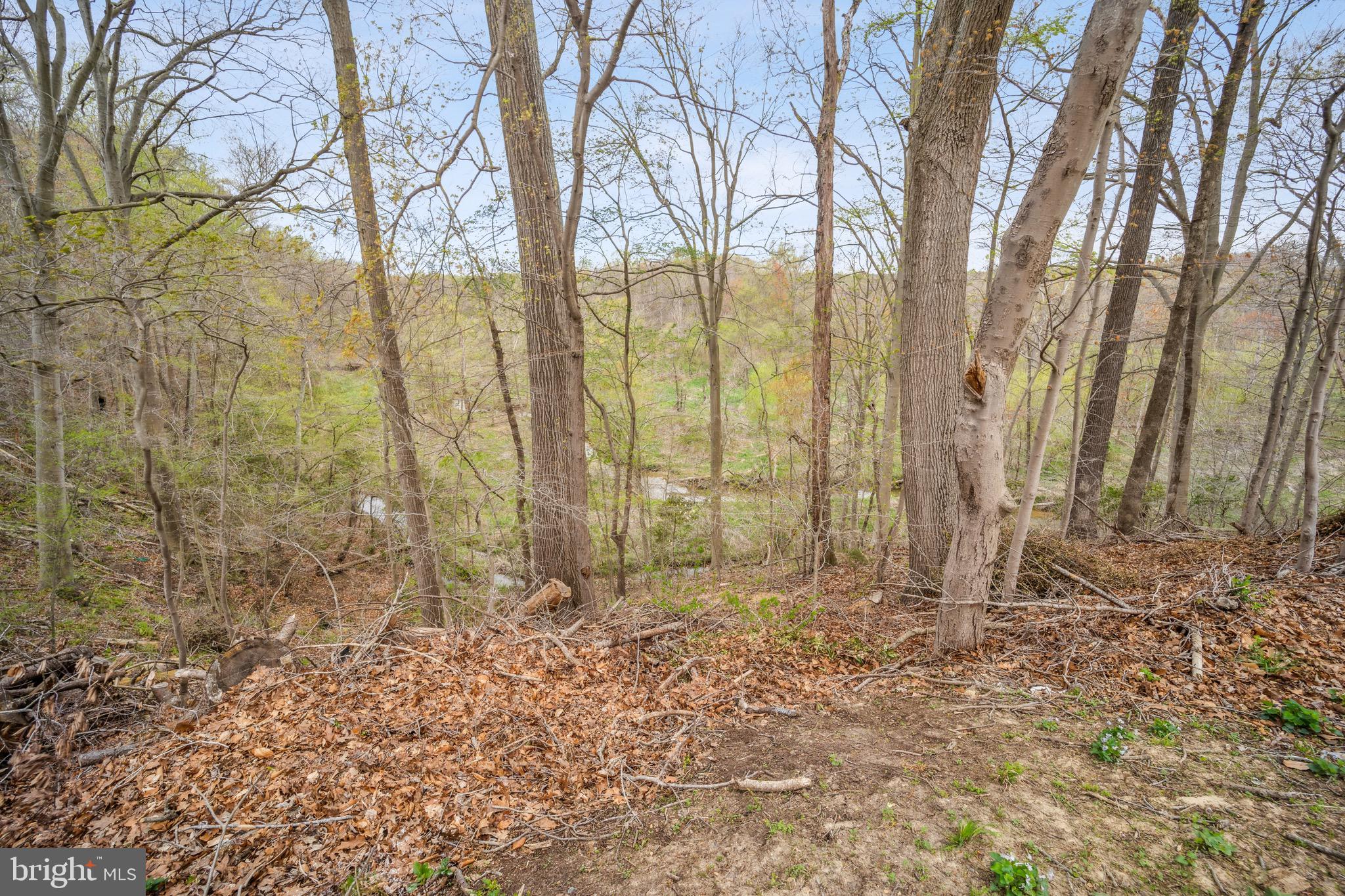 12730 Springfield Ct