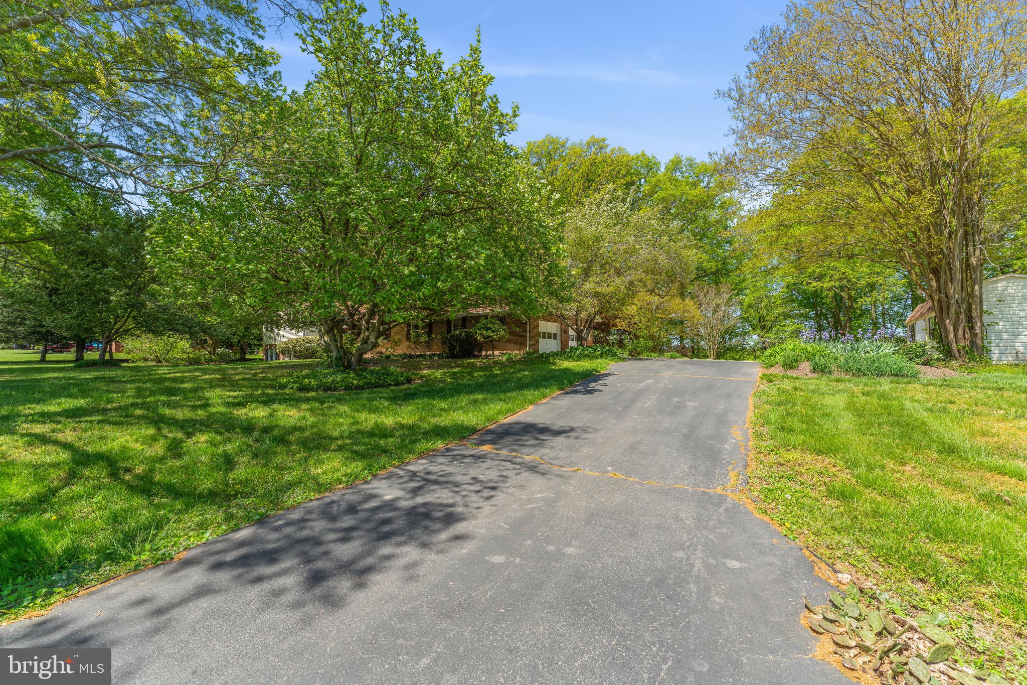 12730 Springfield Ct