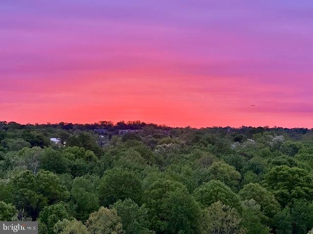 200 N Pickett St #807