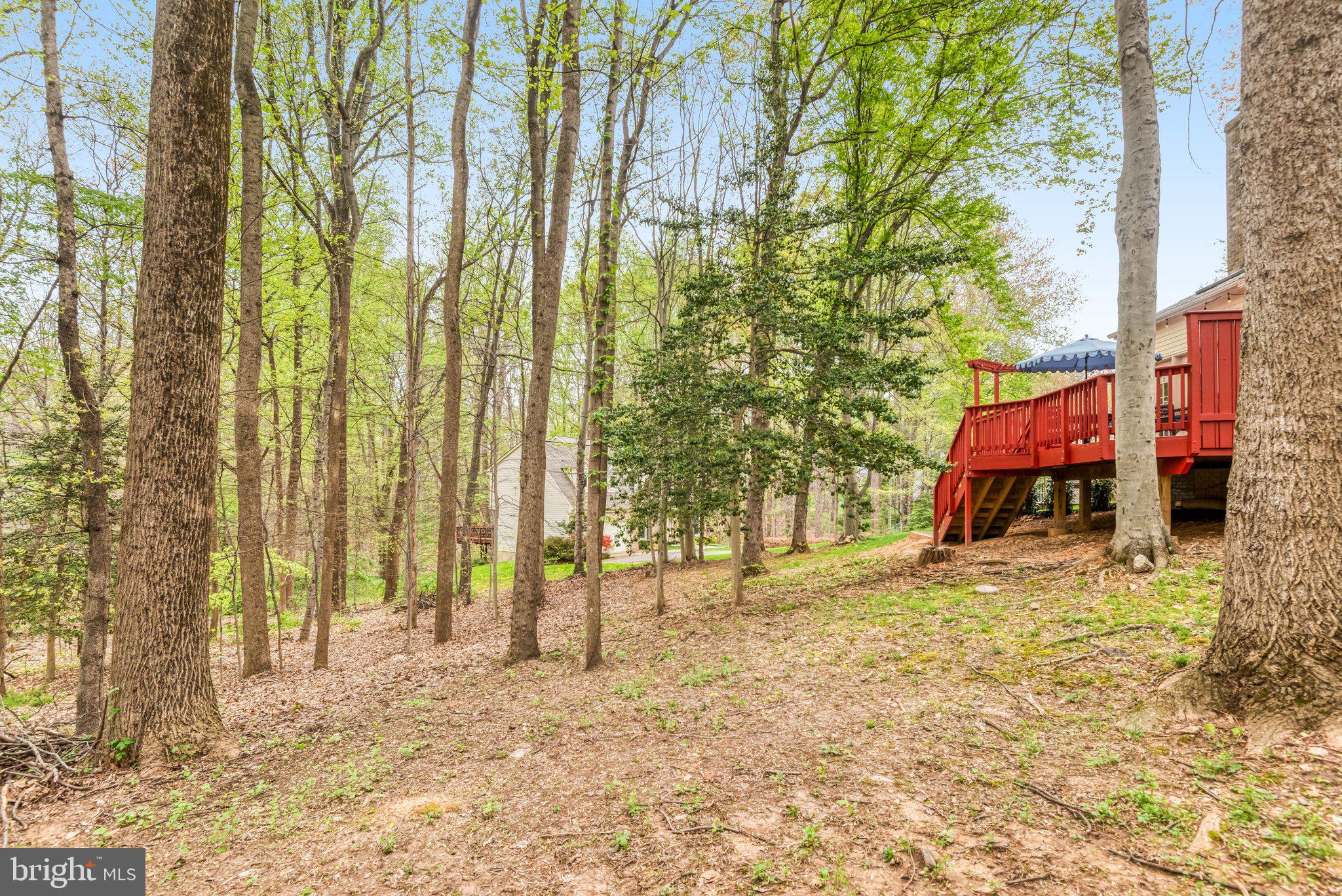 11109 ROBERT CARTER ROAD