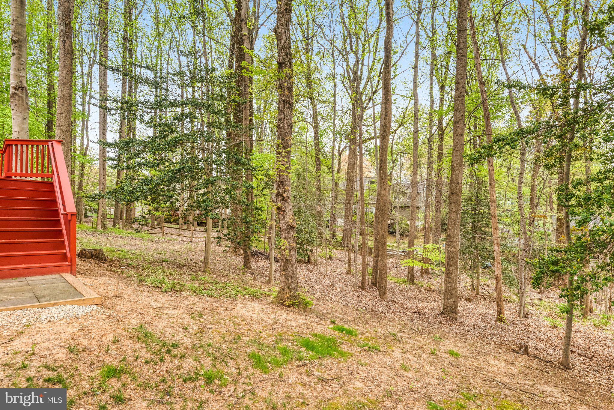 11109 ROBERT CARTER ROAD