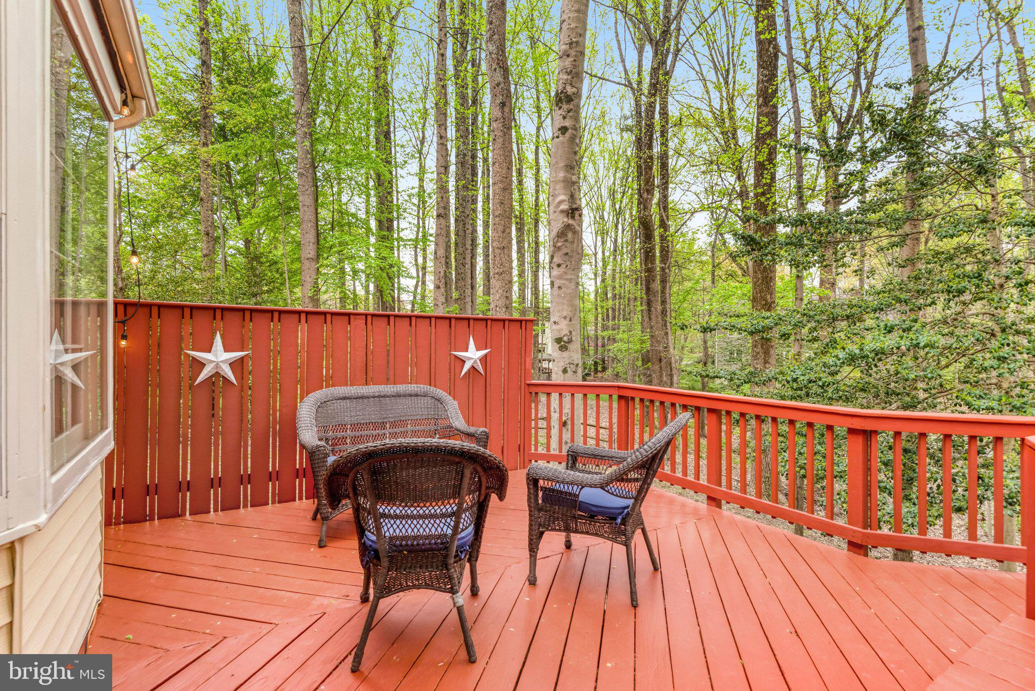 11109 ROBERT CARTER ROAD