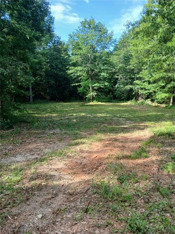 234 Arrowhead Lane