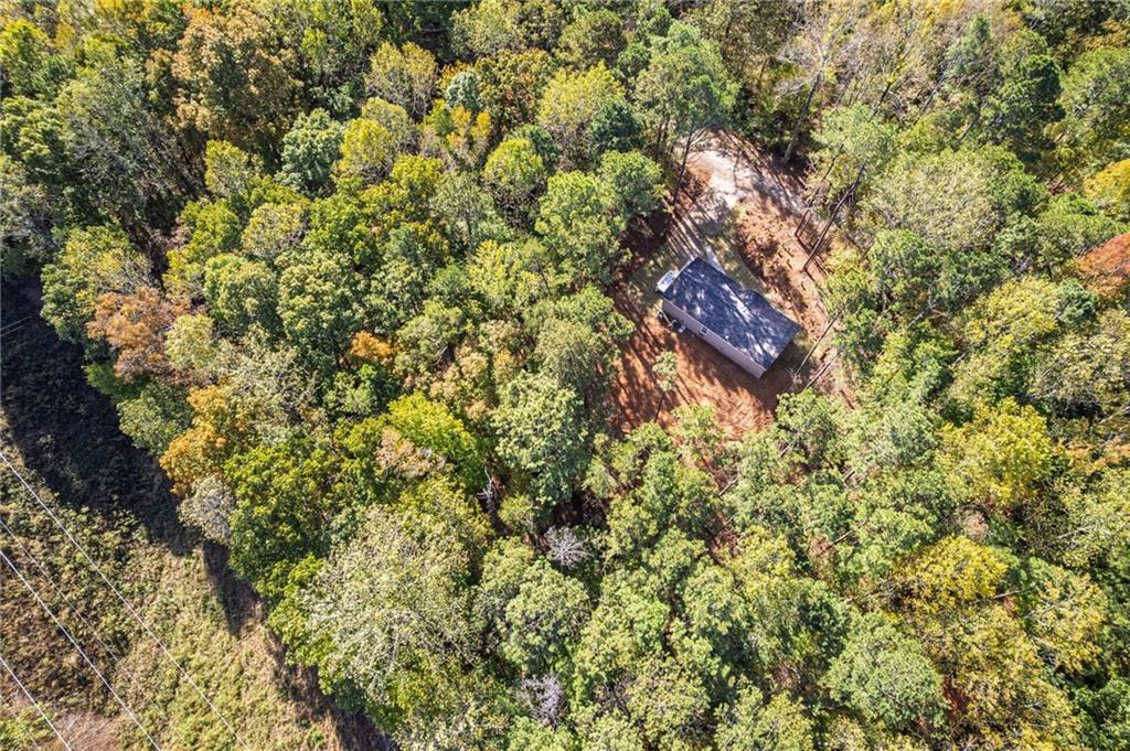 396 Plum Lane