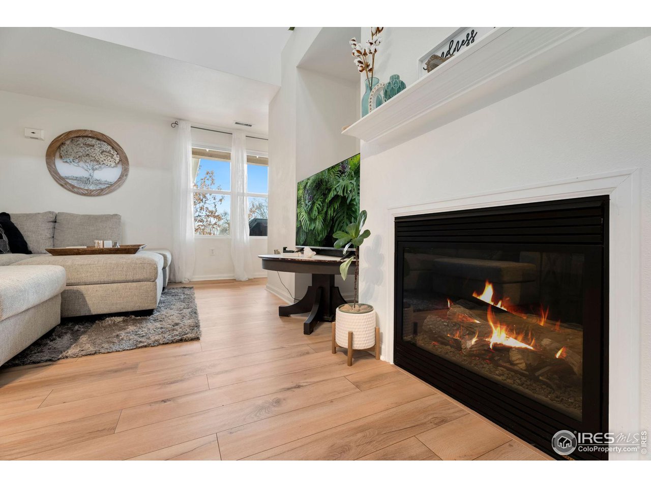 307 Lucca Dr
