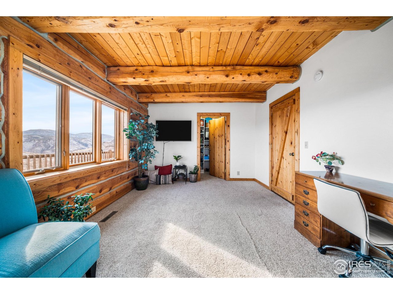 113 Purple Mountain Ct