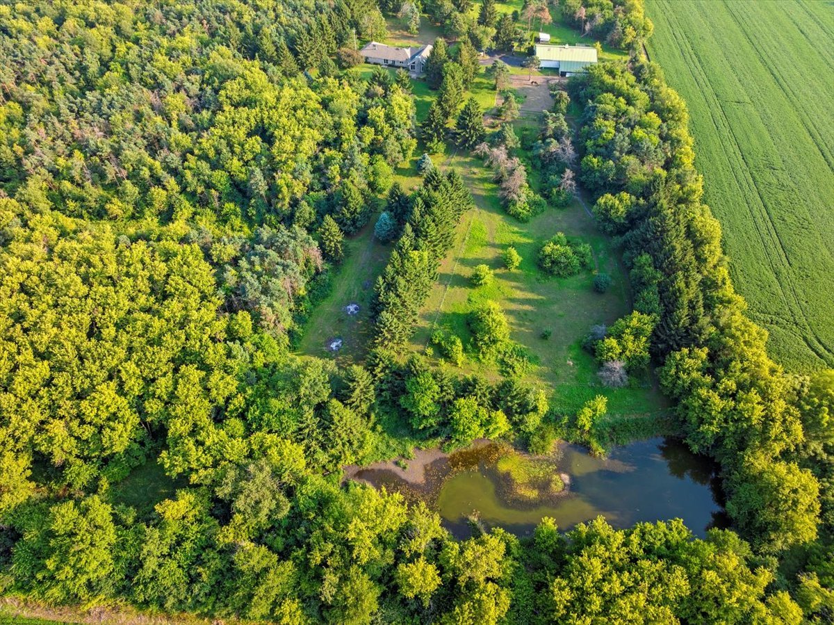 15412 Saint Patrick Road