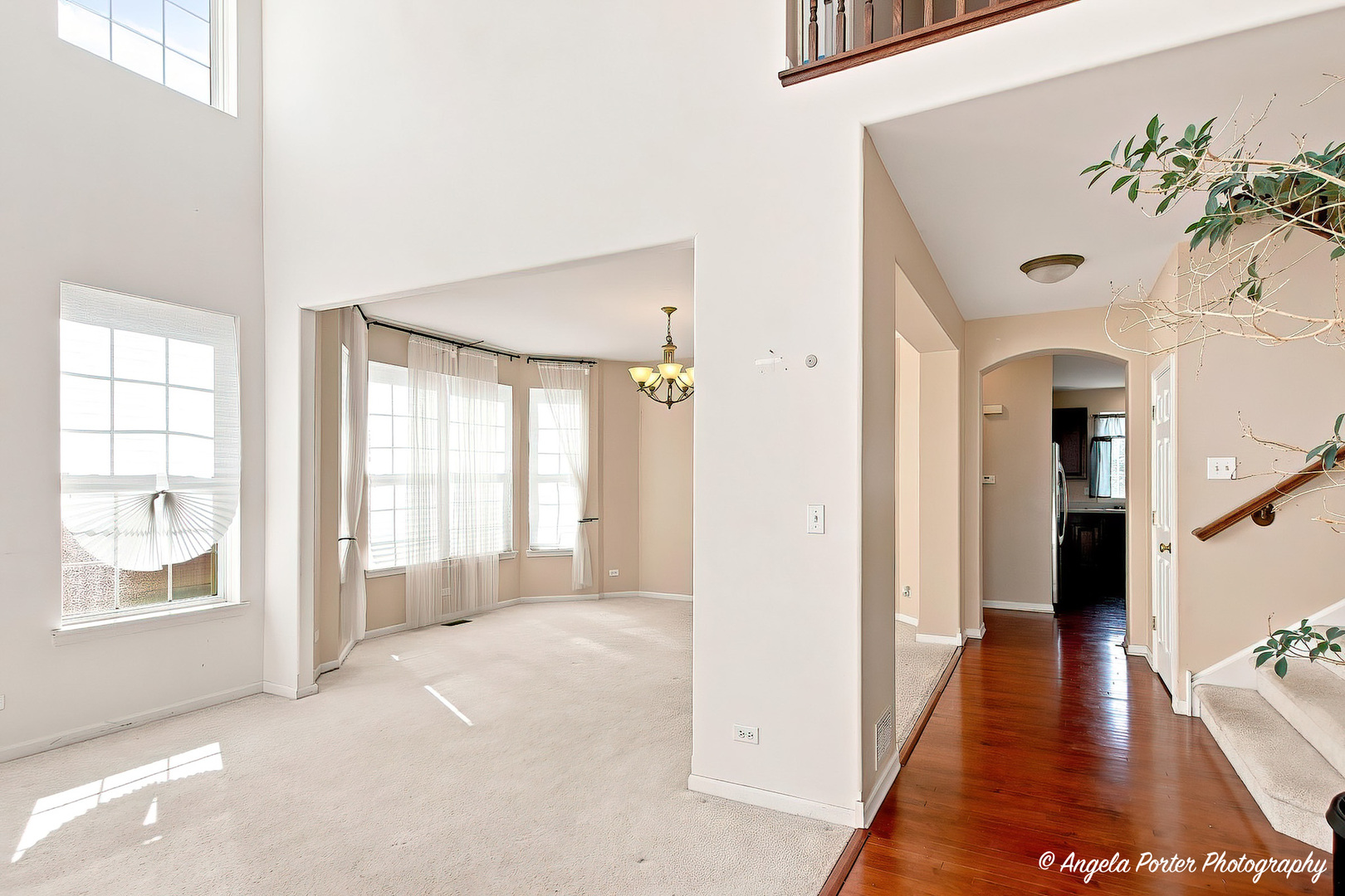 429 W Newbridge Lane