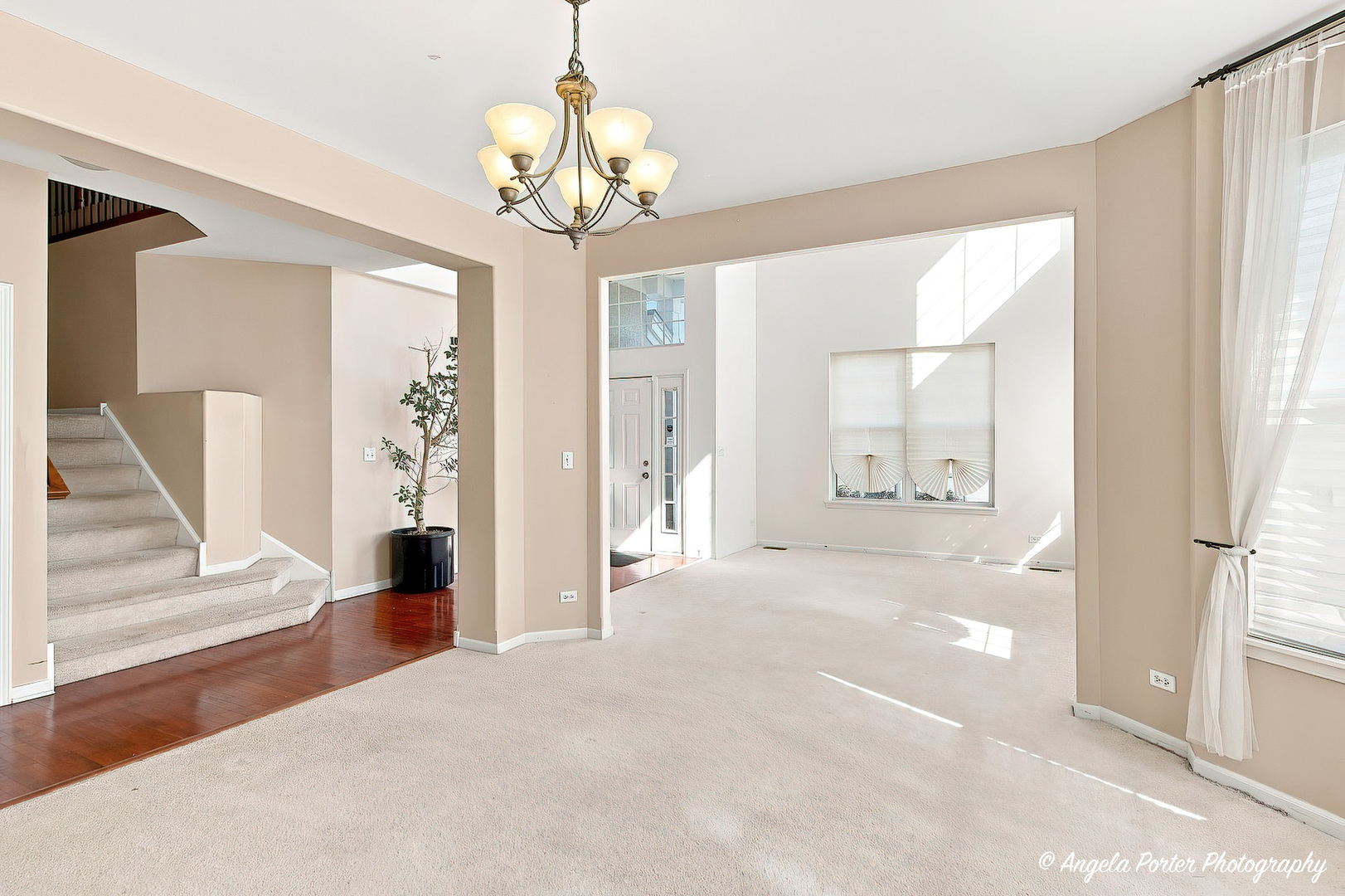 429 W Newbridge Lane