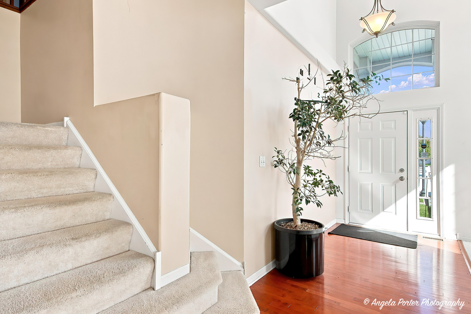 429 W Newbridge Lane