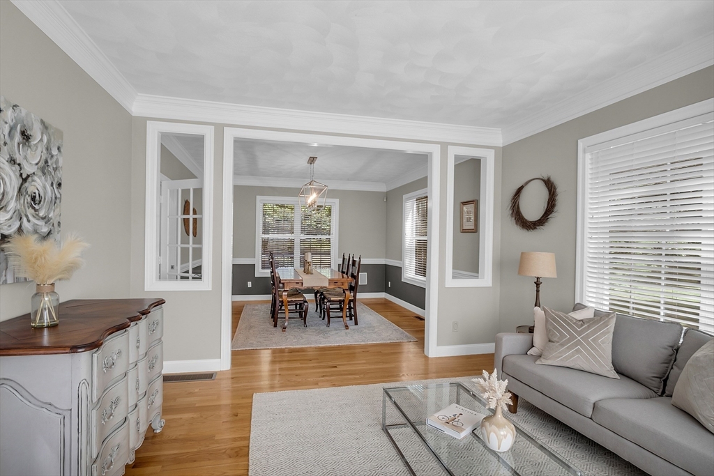 239 Webster Woods Ln