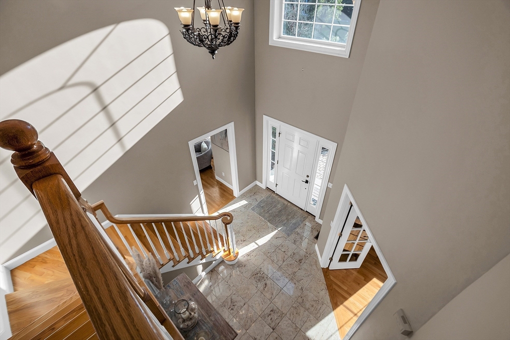 239 Webster Woods Ln