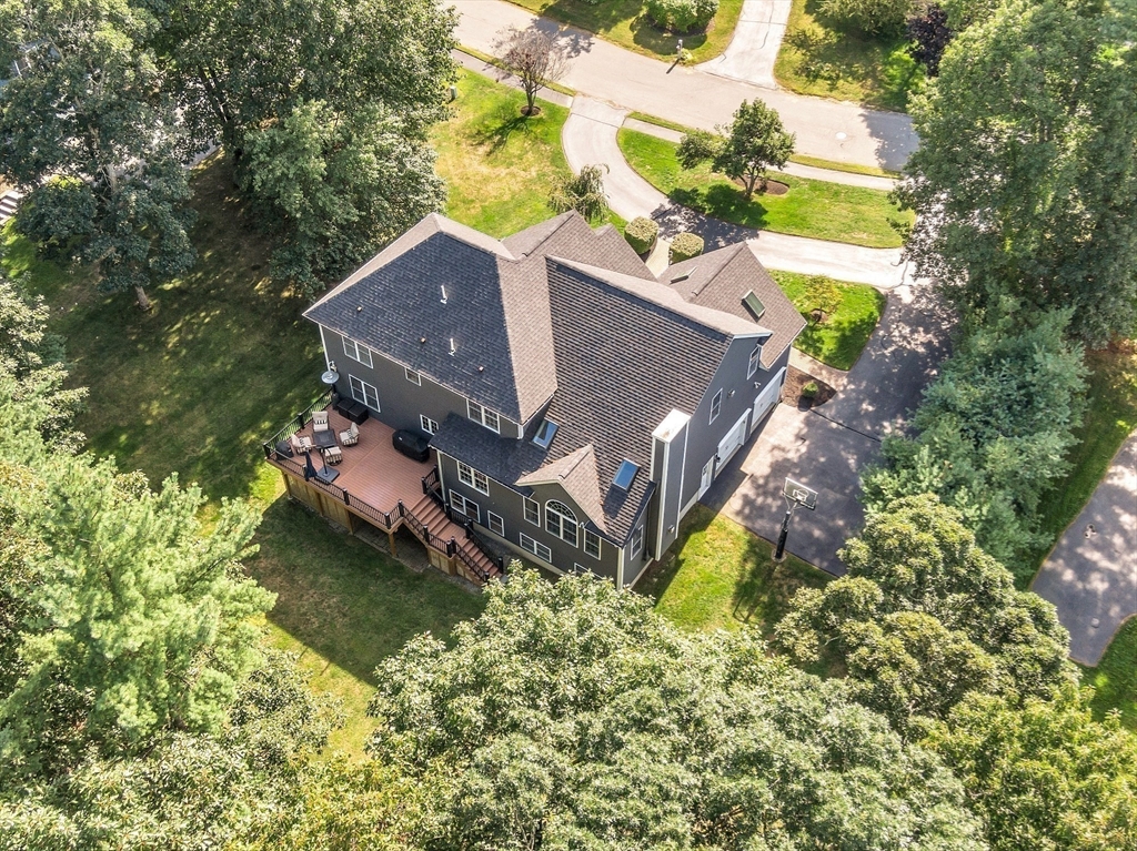 239 Webster Woods Ln