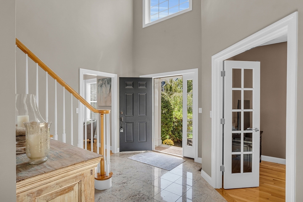 239 Webster Woods Ln