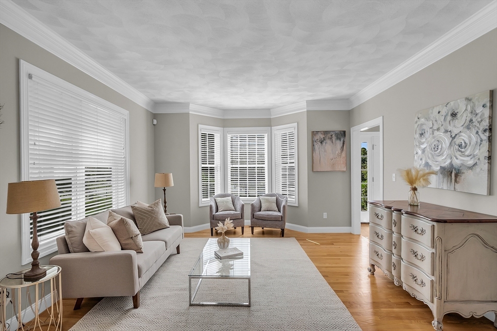 239 Webster Woods Ln