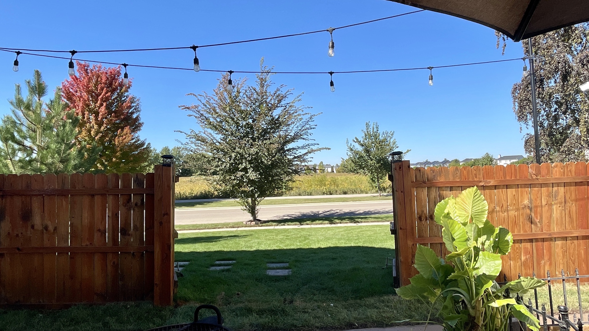 3090 Talon Circle