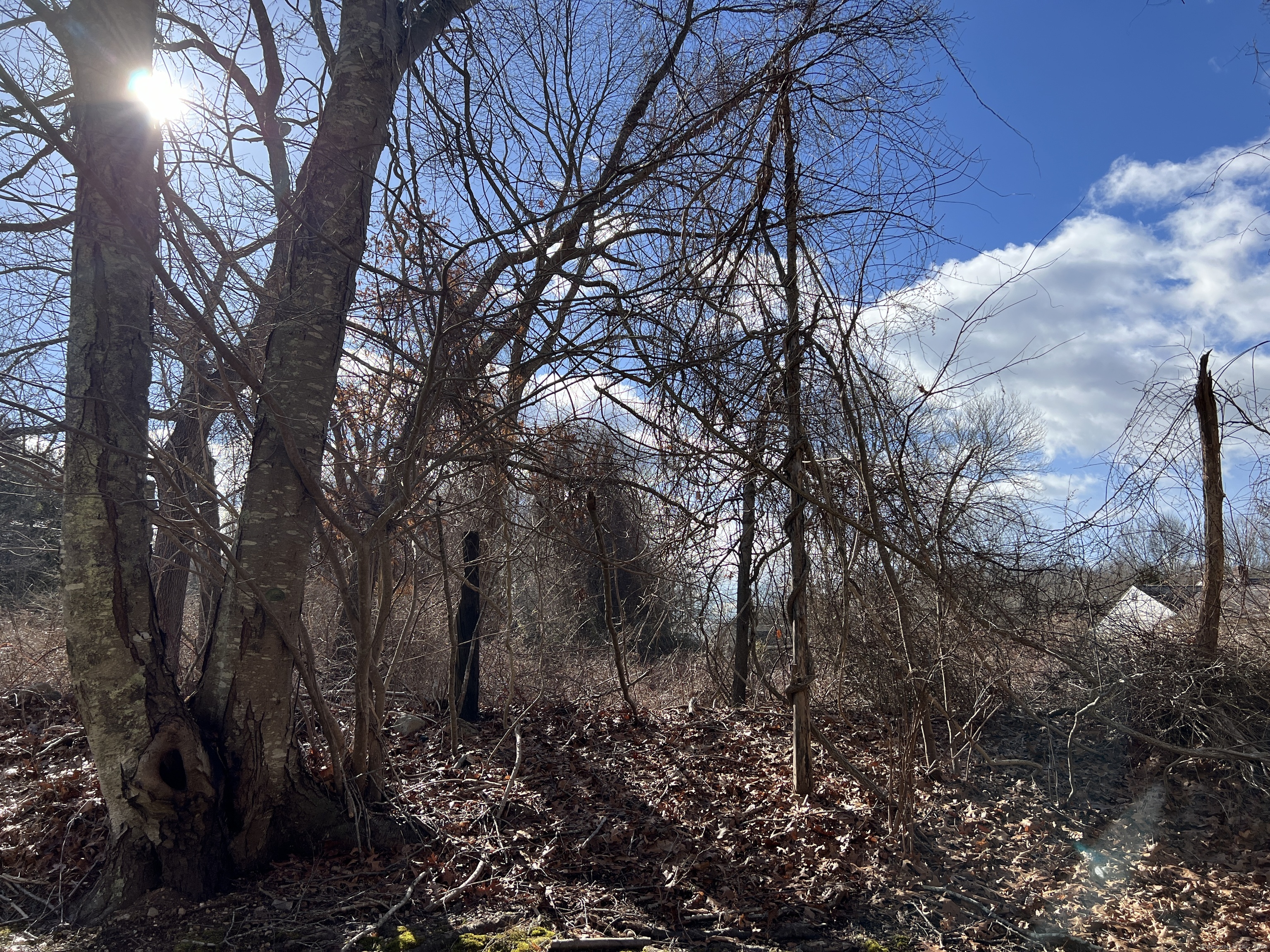 294 Mile Creek Road