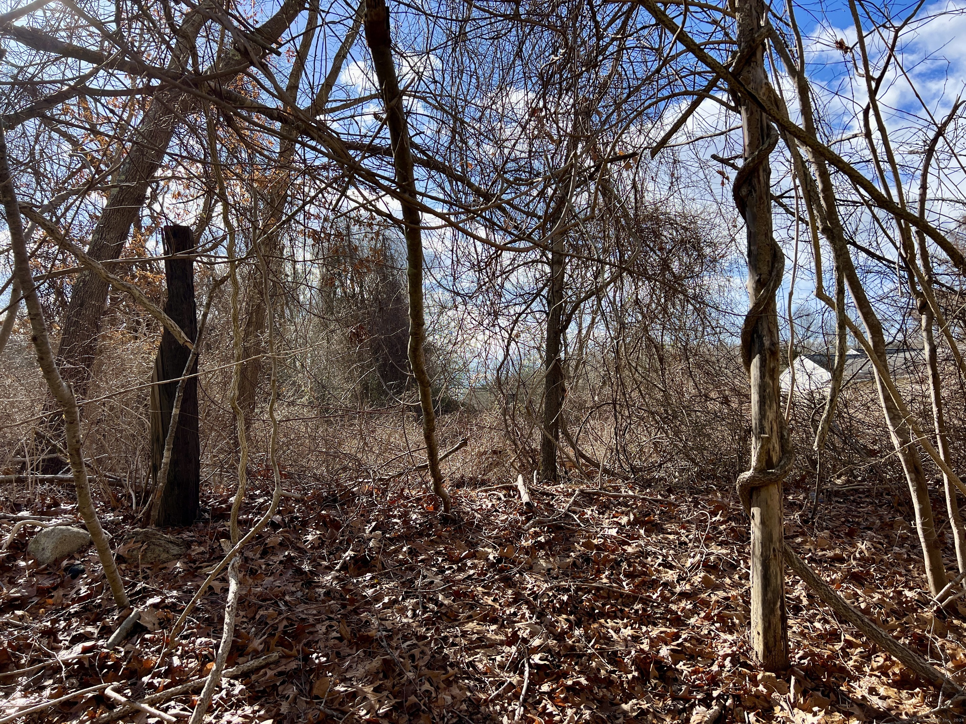 294 Mile Creek Road