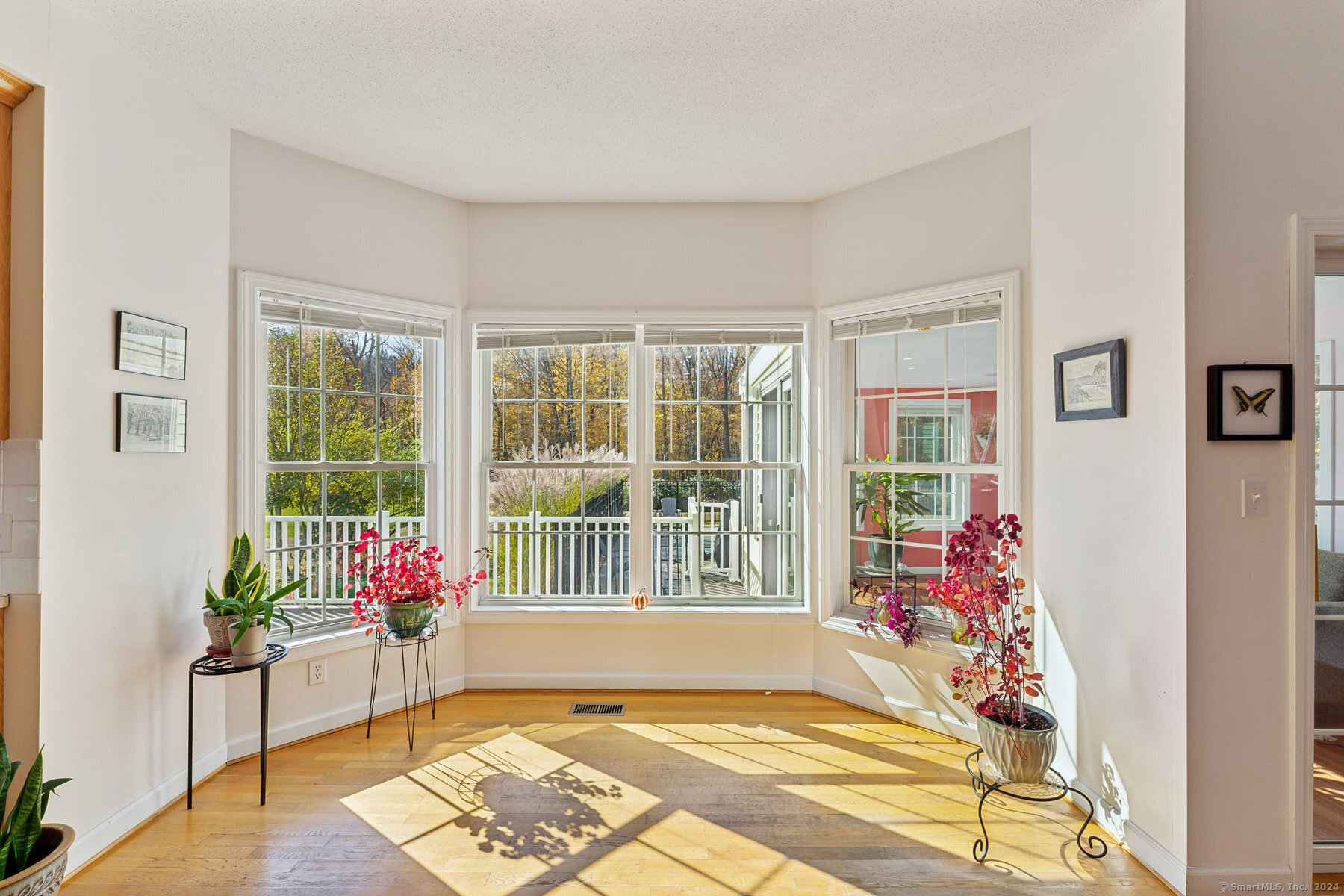 104 Meadow Ridge Drive