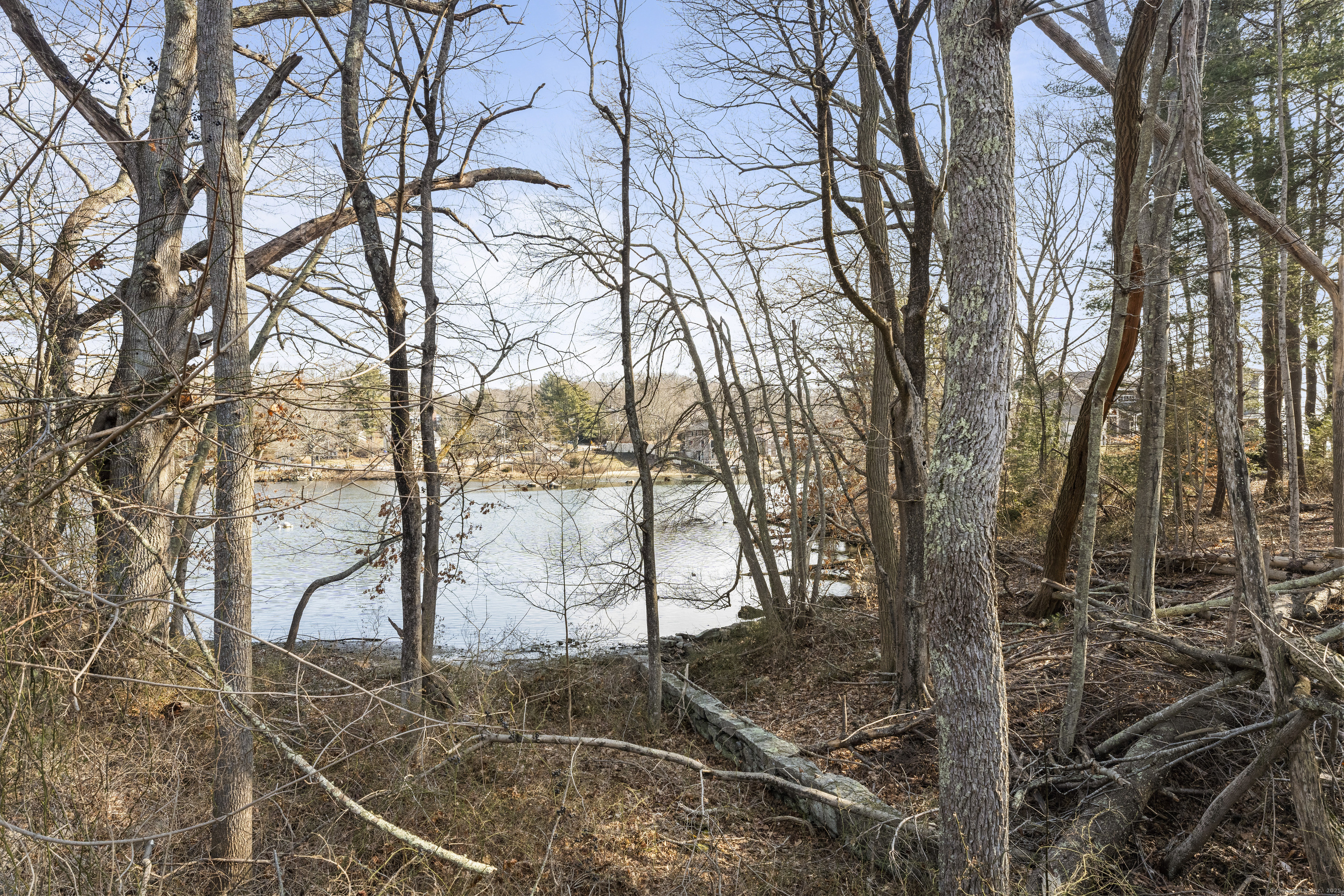 163 Oswegatchie Road