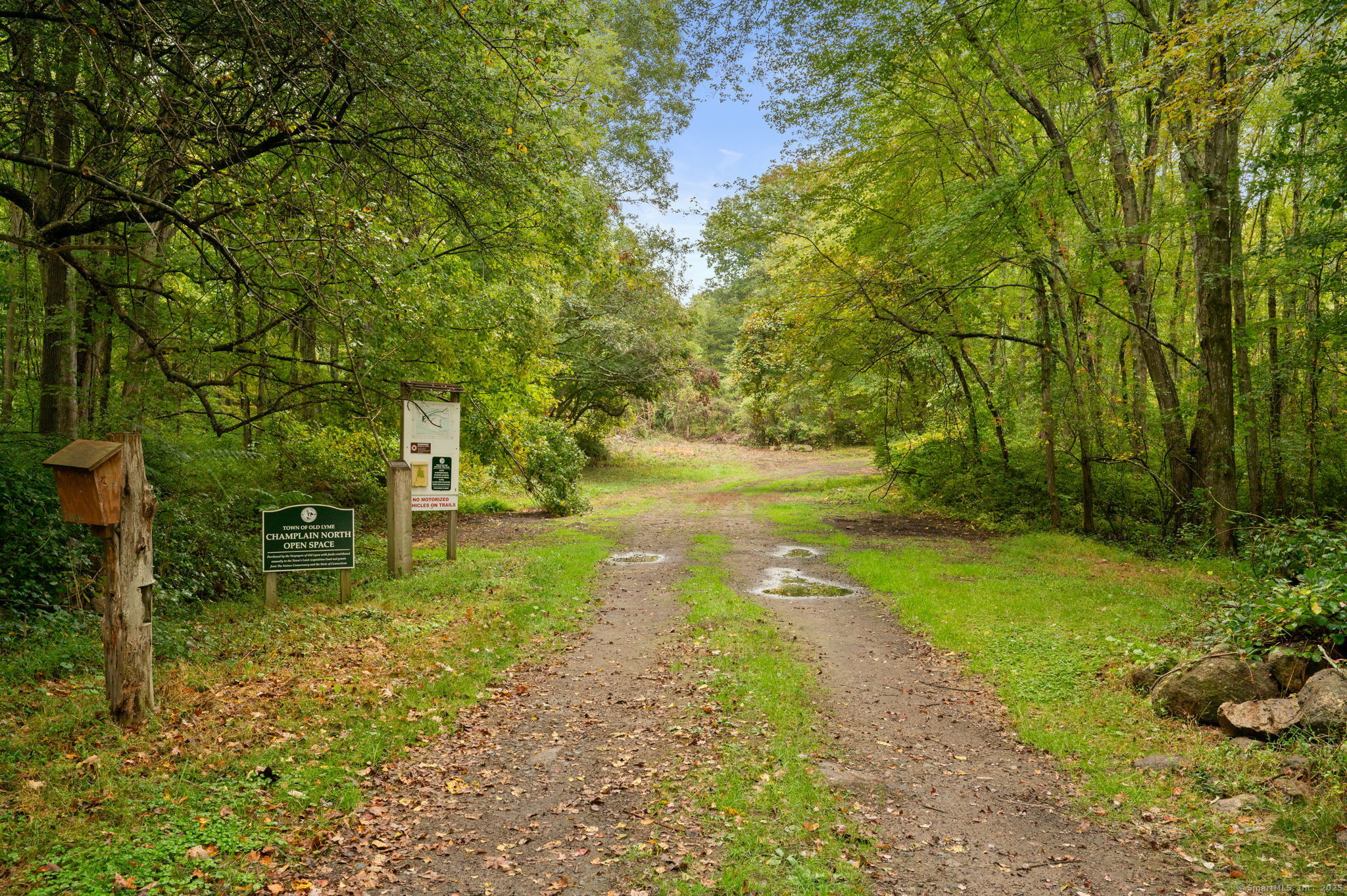 5 Wyckford Lane 5