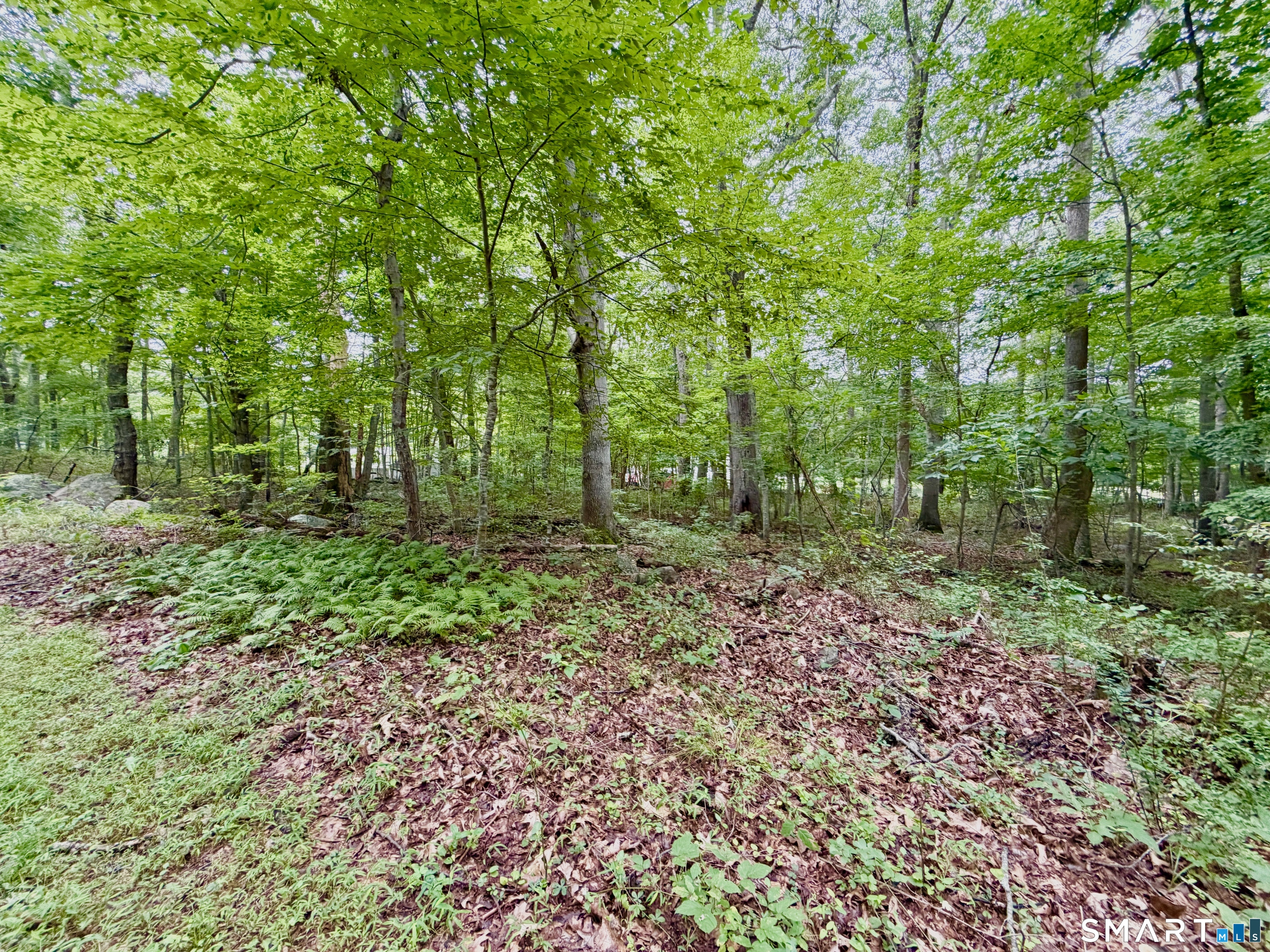 228-B Mile Creek Road
