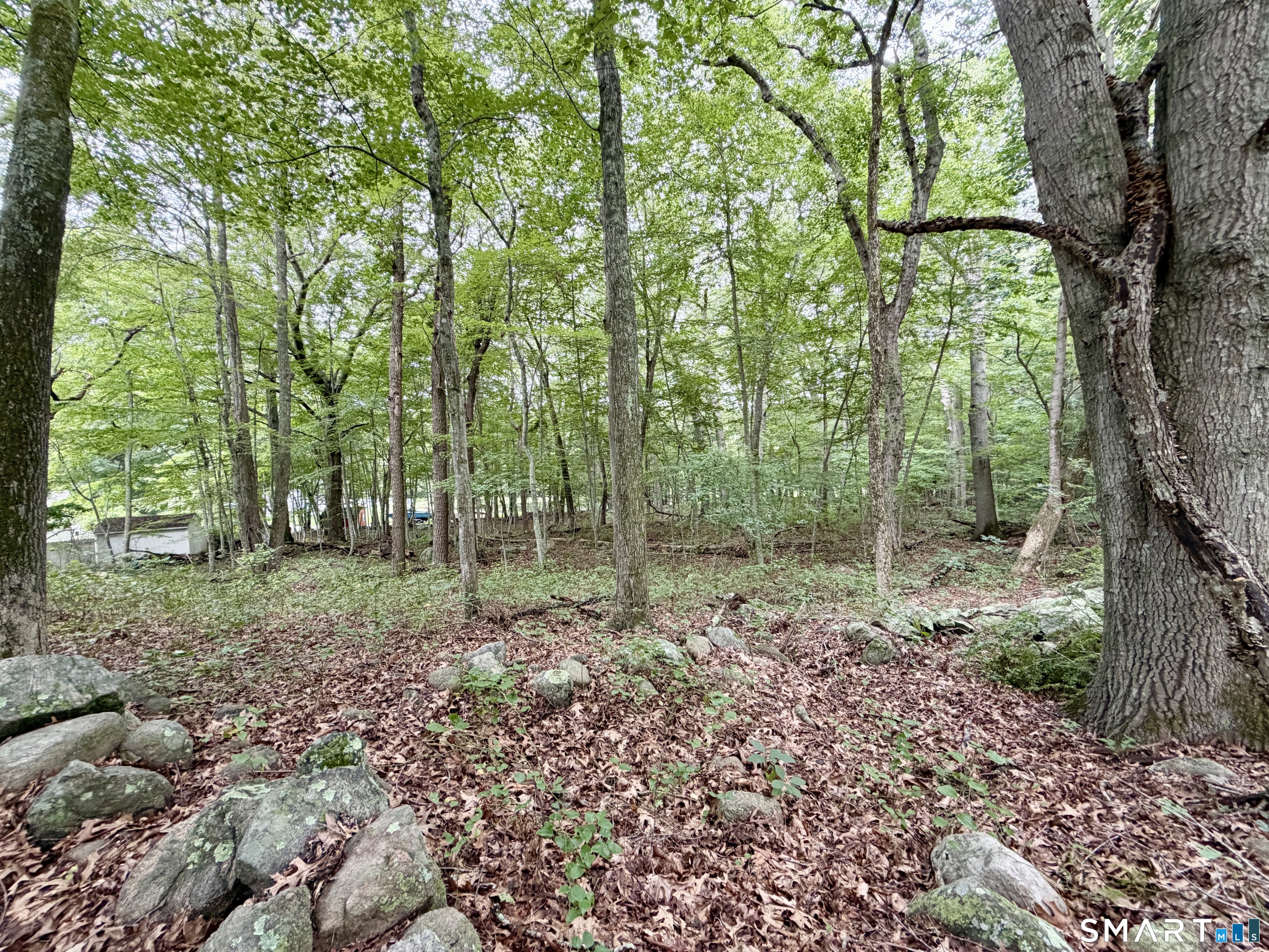 228-B Mile Creek Road
