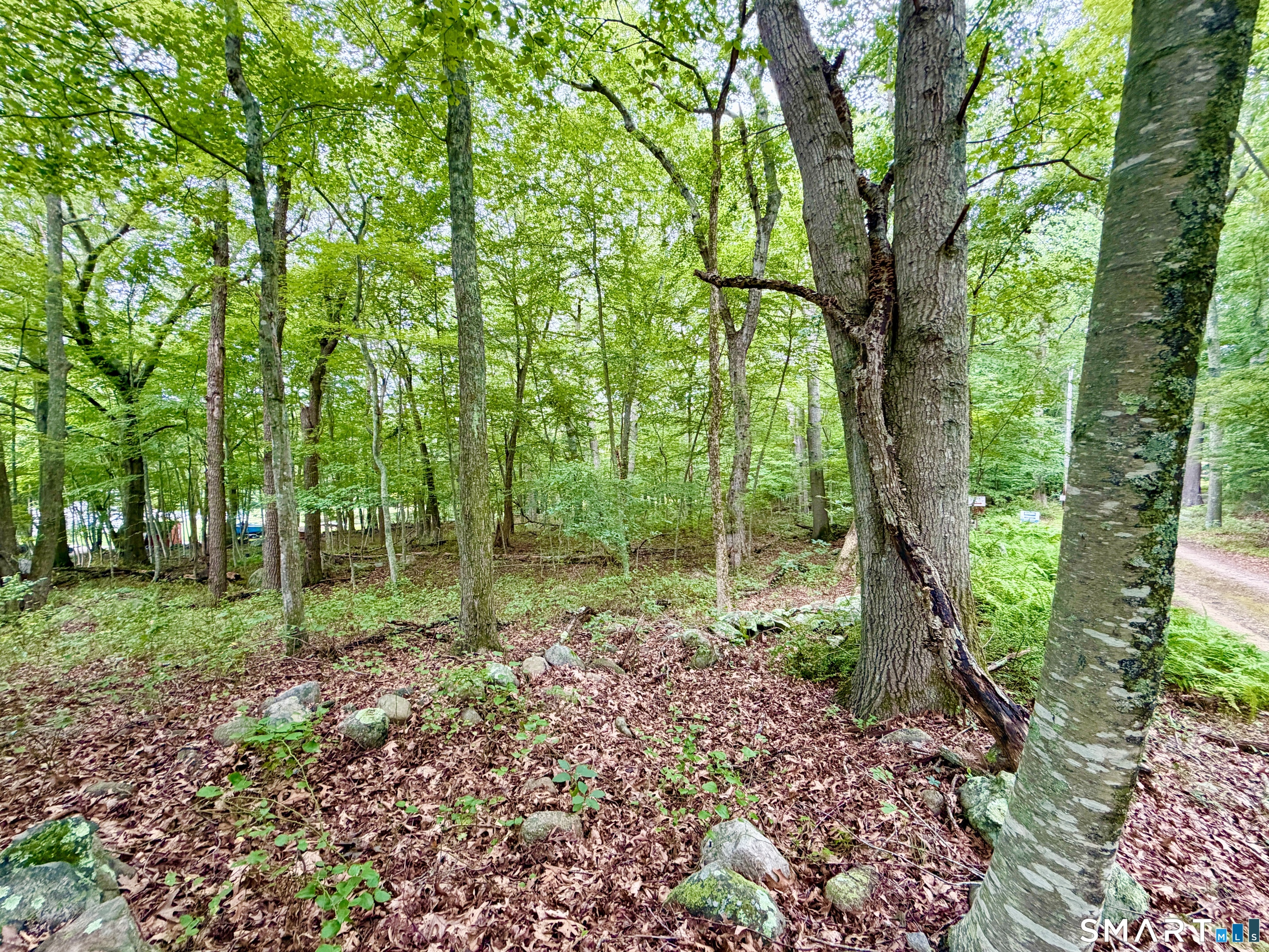228-B Mile Creek Road