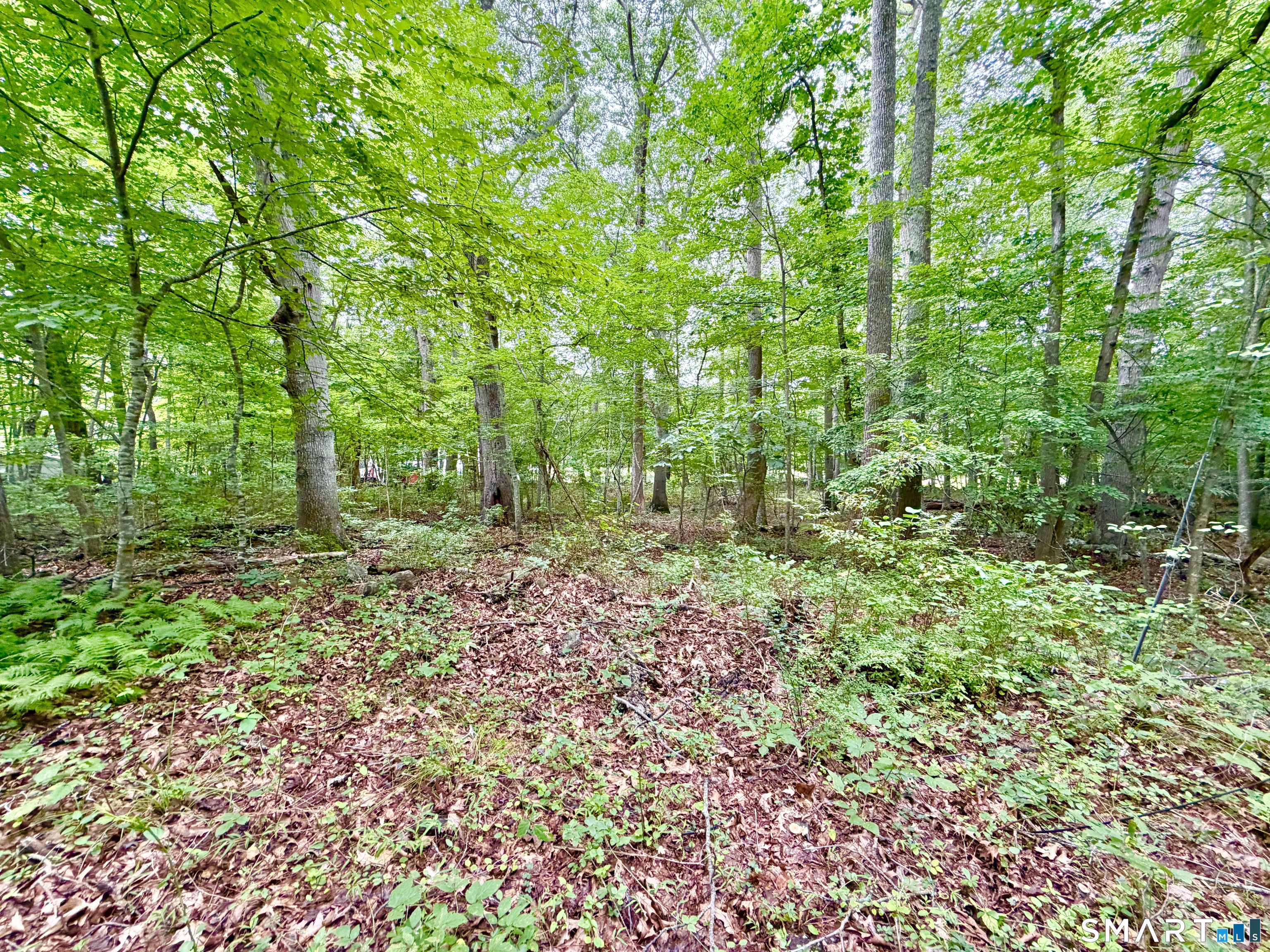 228-B Mile Creek Road