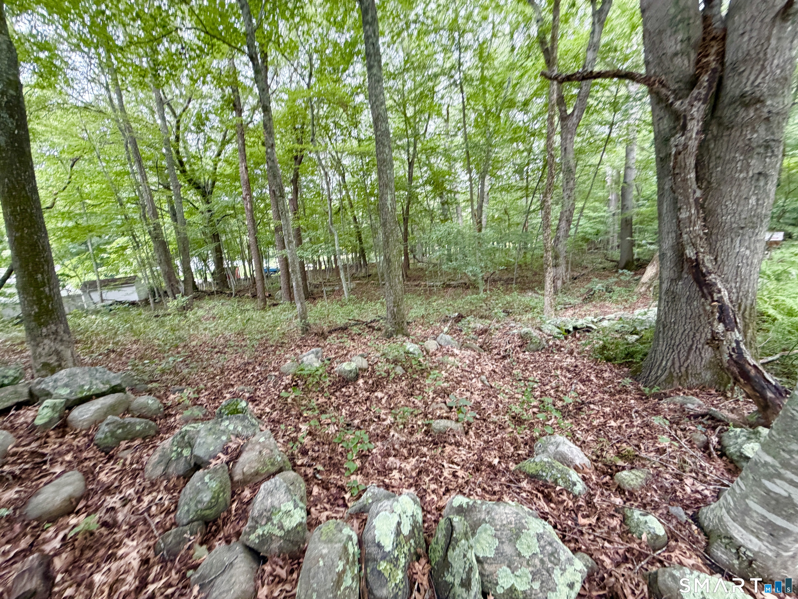 228-B Mile Creek Road