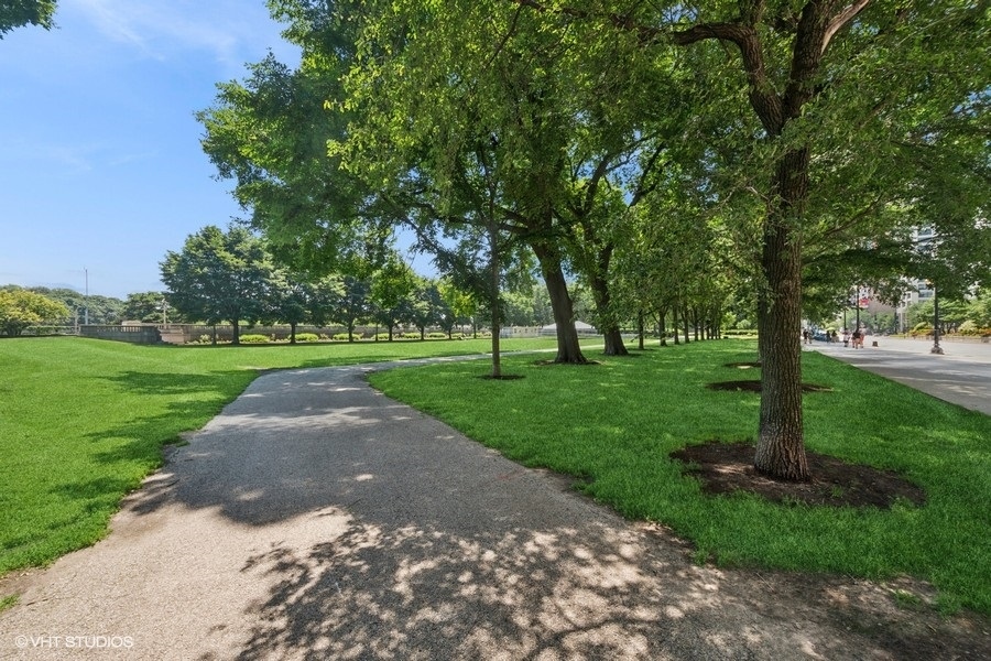 910 S Michigan Avenue Unit: 1111