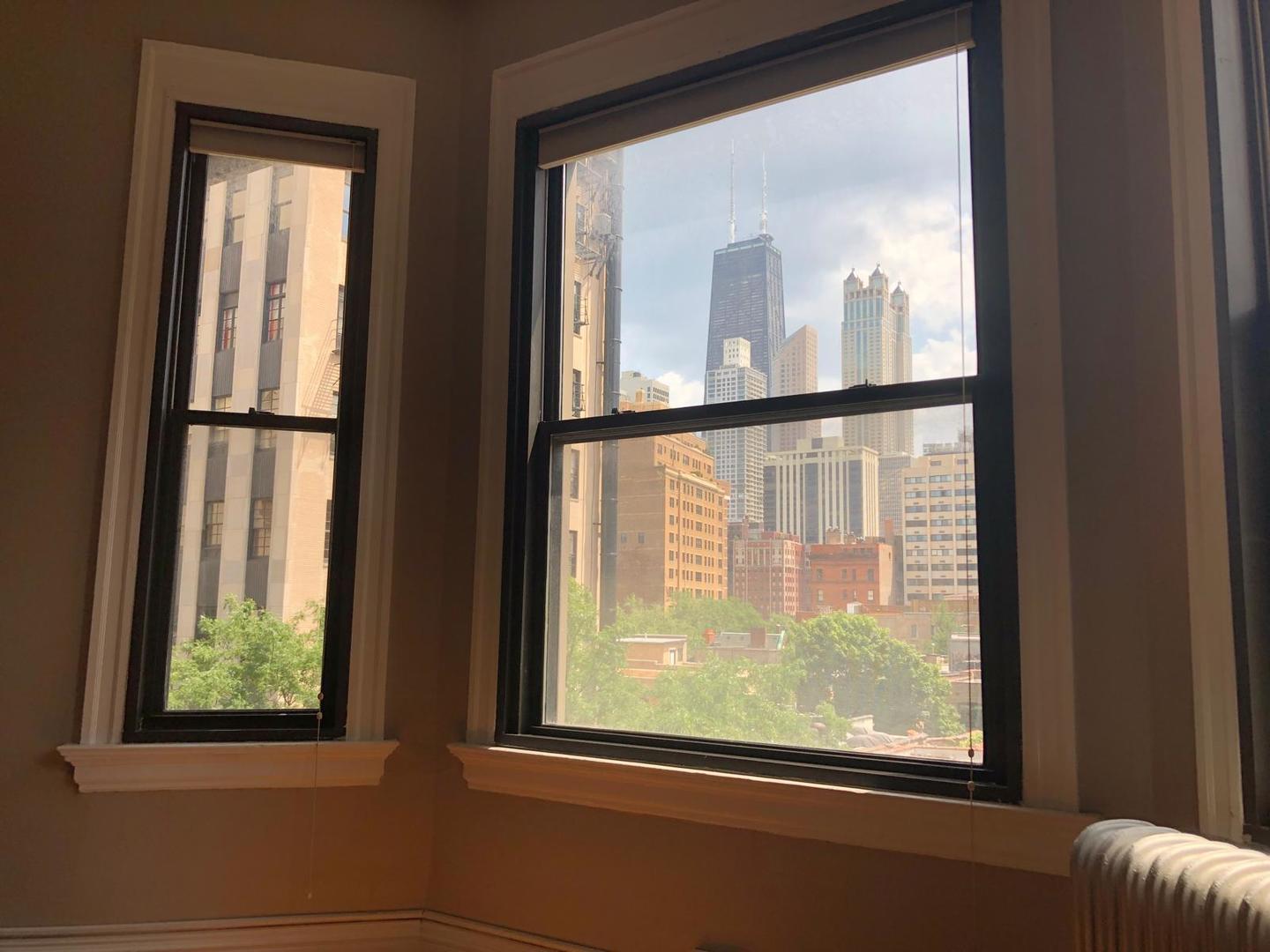 20 E Goethe Street Unit: 502